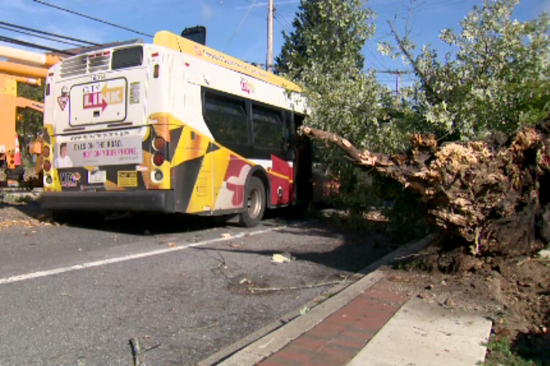 At least three people were injured after a large tree fell on a Maryland Transit Administration bus in Reisterstown on Friday morning, according to the Baltimore County Fire Department.