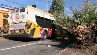 At least three people were injured after a large tree fell on a Maryland Transit Administration bus in Reisterstown on Friday morning, according to the Baltimore County Fire Department.