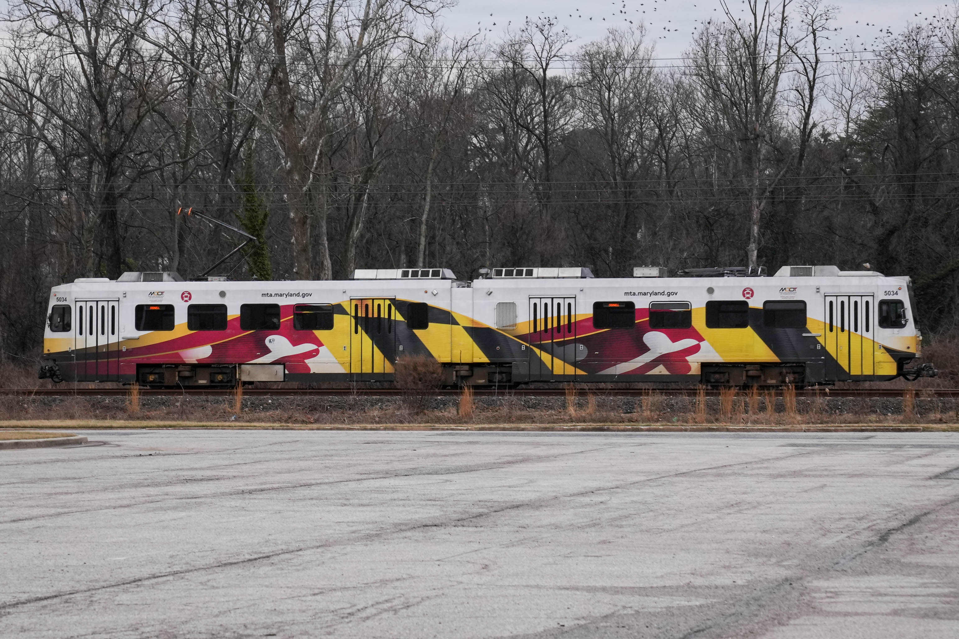 Downed trees have caused the suspension of light rail service between North Avenue and Lutherville, the Maryland Transit Administration reported Sunday morning.