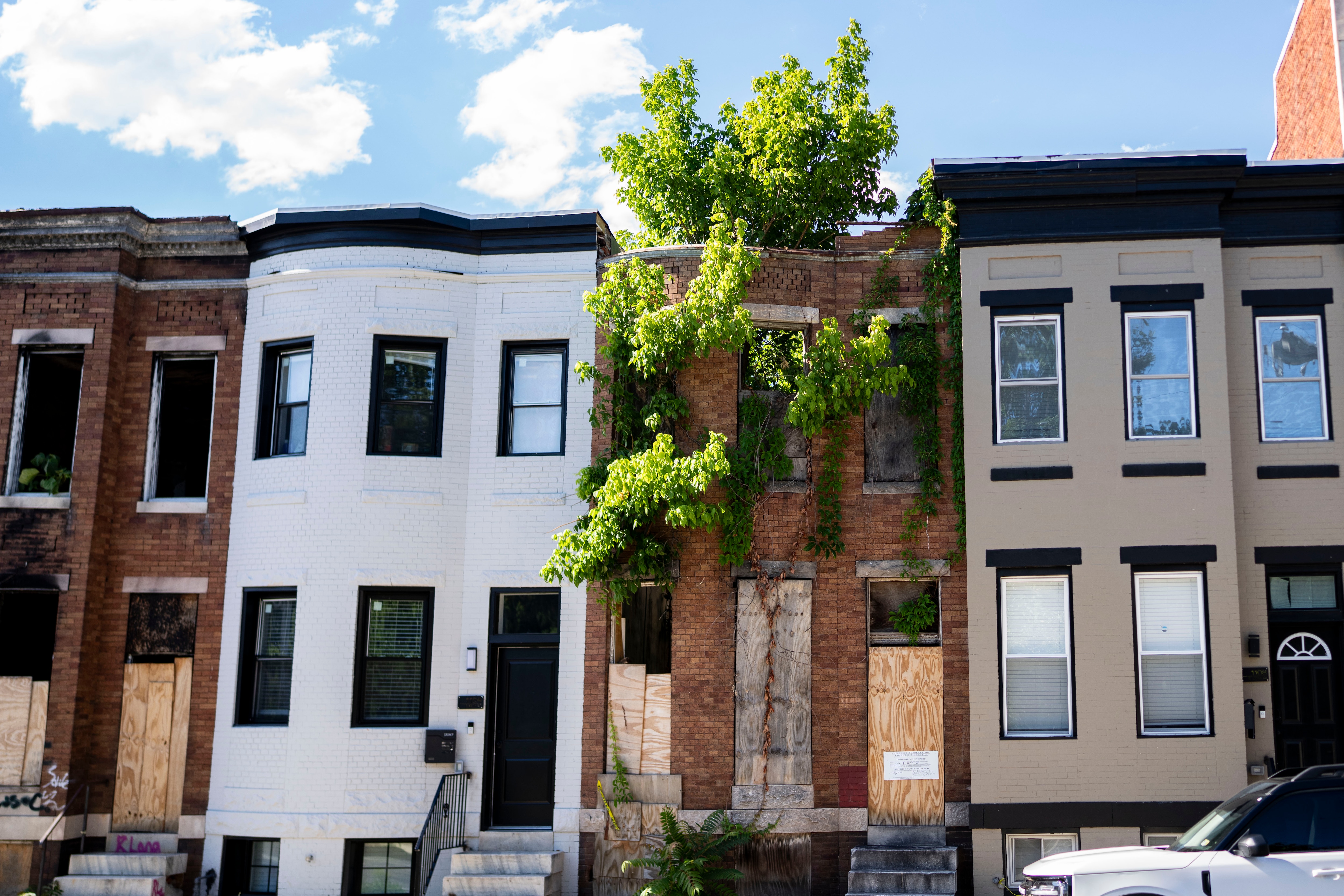 A house with a tree growing out of it is the oldest vacant in Baltimore.
