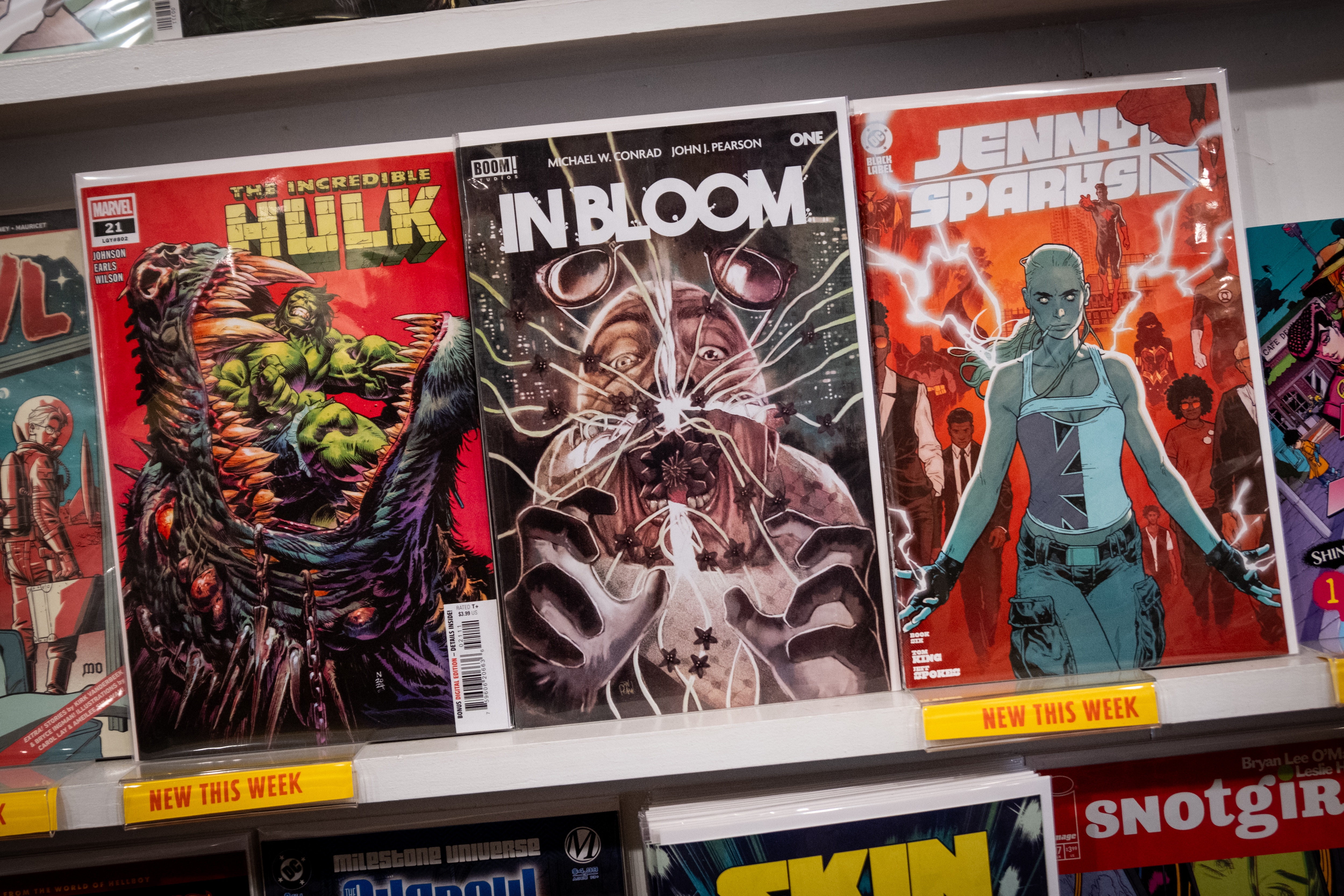 “In Bloom” is one of the comics Atomic Books in Hampden gets exclusively through Diamond Comic Distributors. Photographed on Friday, January 17, 2025.