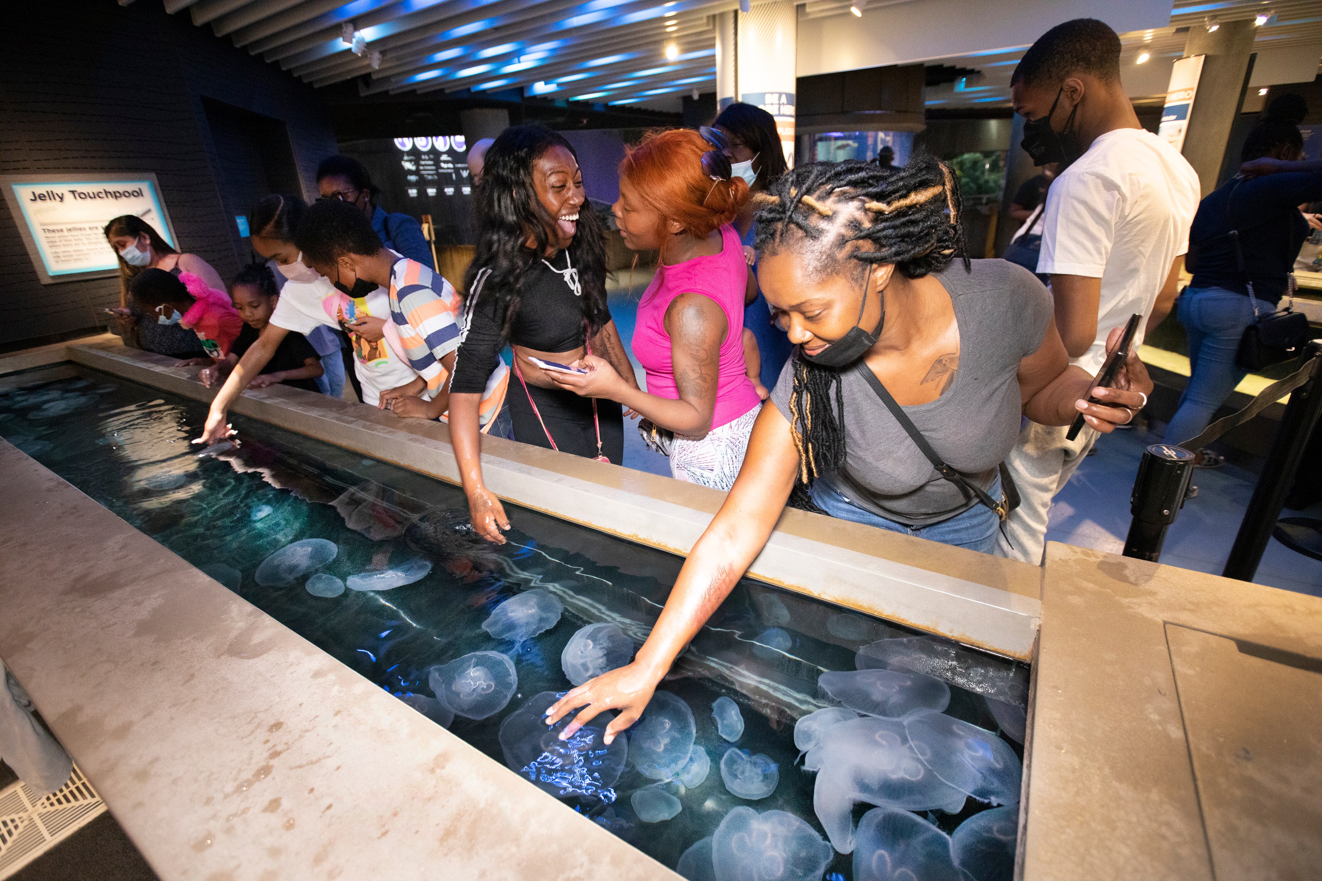 Staycation , or holistay, is a period in which an individual or family stays home and participates in leisure activities.  A family visits the National Aquarium in Baltimore's Inner Harbor and  examine the jelly fish in the tanks.