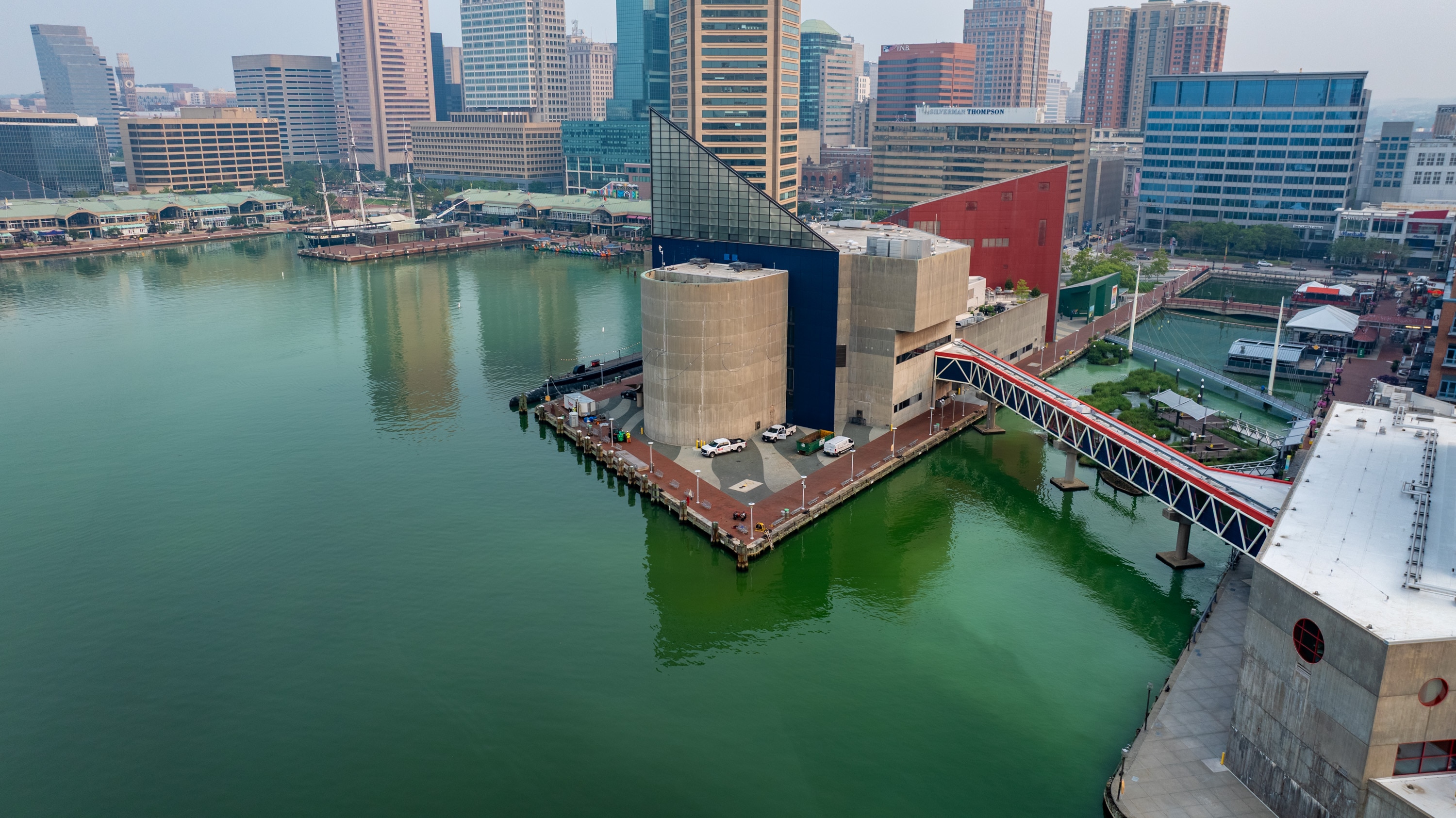 Baltimore’s Inner Harbor shows the effects of a "pistachio tide."