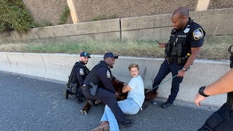 Joe Shaffer, in a t-shirt, is shown holding down a calf from his farm that got loose on Interstate 695 along with Baltimore County Police officers on Wednesday, Oct. 21, 2026.