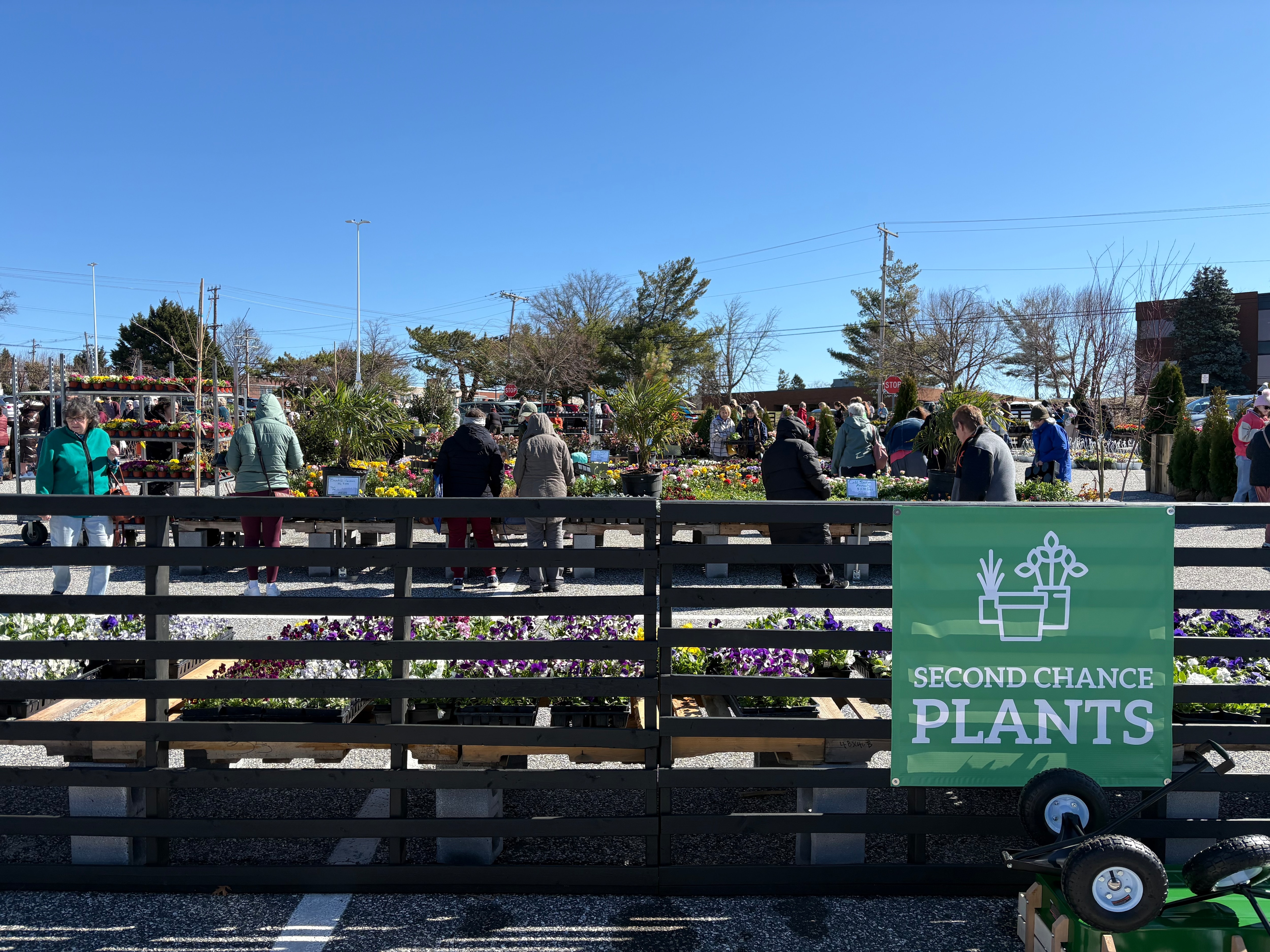 A sign says "SECOND CHANCE PLANTS" in all caps. The sign is on a fence. Behind the fence is a small crowd of people shopping for plants in a parking lot.