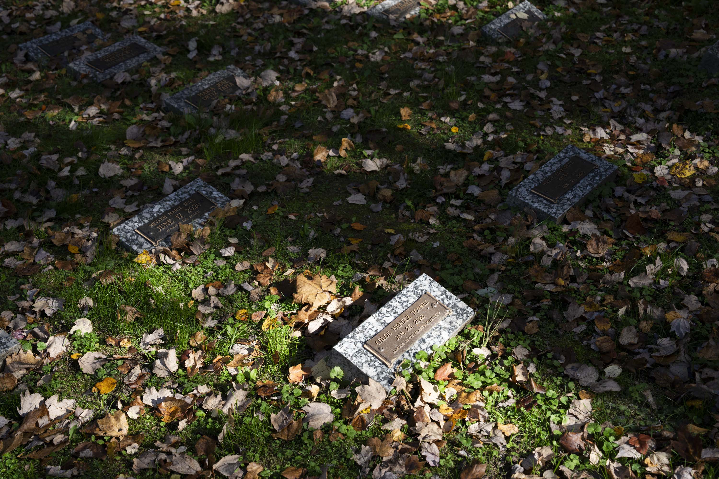 Afternoon light illuminates headstones at Columbia Memorial Park, the cemetery that gives residents of James Rouse’s planned community a place to be remembered. 