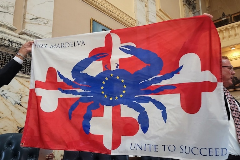 Del. Tom Hutchinson holds up the flag of Free Mardelva during a General Assembly debate on a constitutional amendment that would clarify how and when Maryland can change congressional district boundaries.