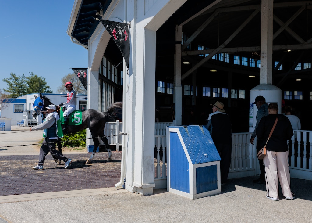 Horses leave the paddock at Laurel Park Race Track ahead of a race.