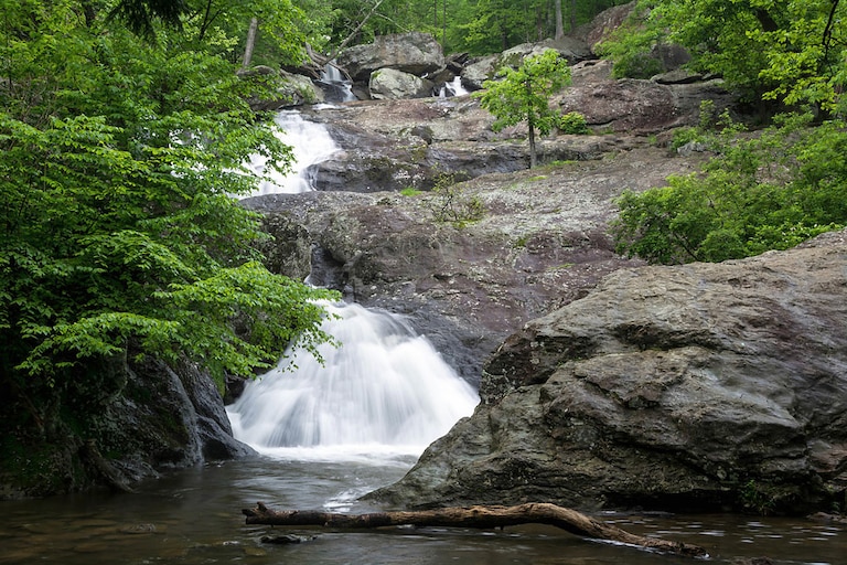A beaver that bit a 13-year-old at Cunningham Falls State Park in Thurmont tested positive for rabies, according to the Maryland Department of Health.