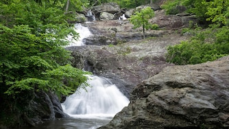 A beaver that bit a 13-year-old at Cunningham Falls State Park in Thurmont tested positive for rabies, according to the Maryland Department of Health.