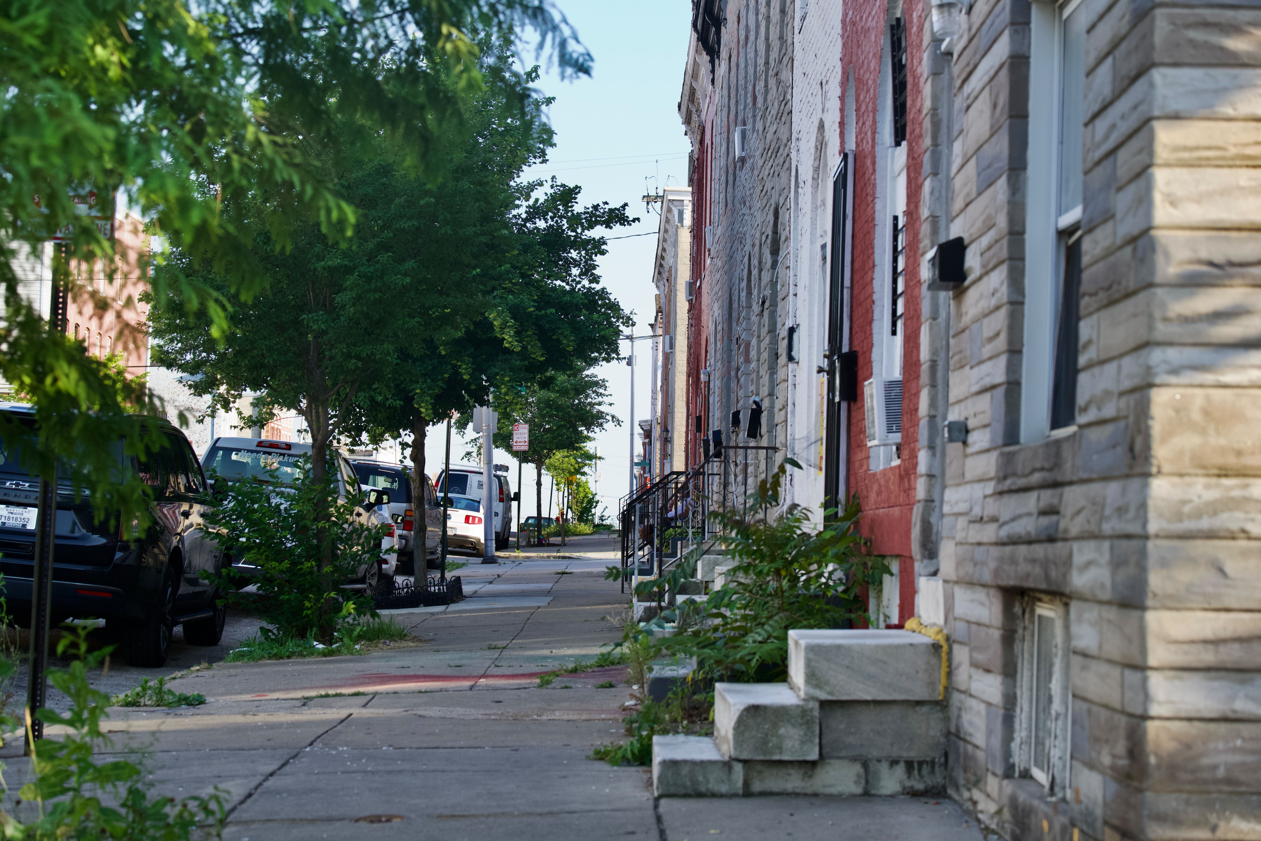 Two stray pit bull terriers were roaming North Pulaski Street around 9 p.m. on June 14, 2024 when they mauled three people. A 54-year-old woman died at the scene, according to police.