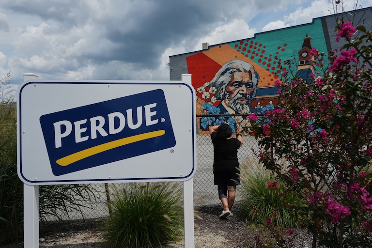 A Honduran woman poses for a portrait outside the Perdue Farms poultry plant, where she worked for more than two decades before losing her job the previous year after her TPS expired in Salisbury, Md., Saturday, Aug. 1, 2026. (AP Photo/Luis Andres Henao)