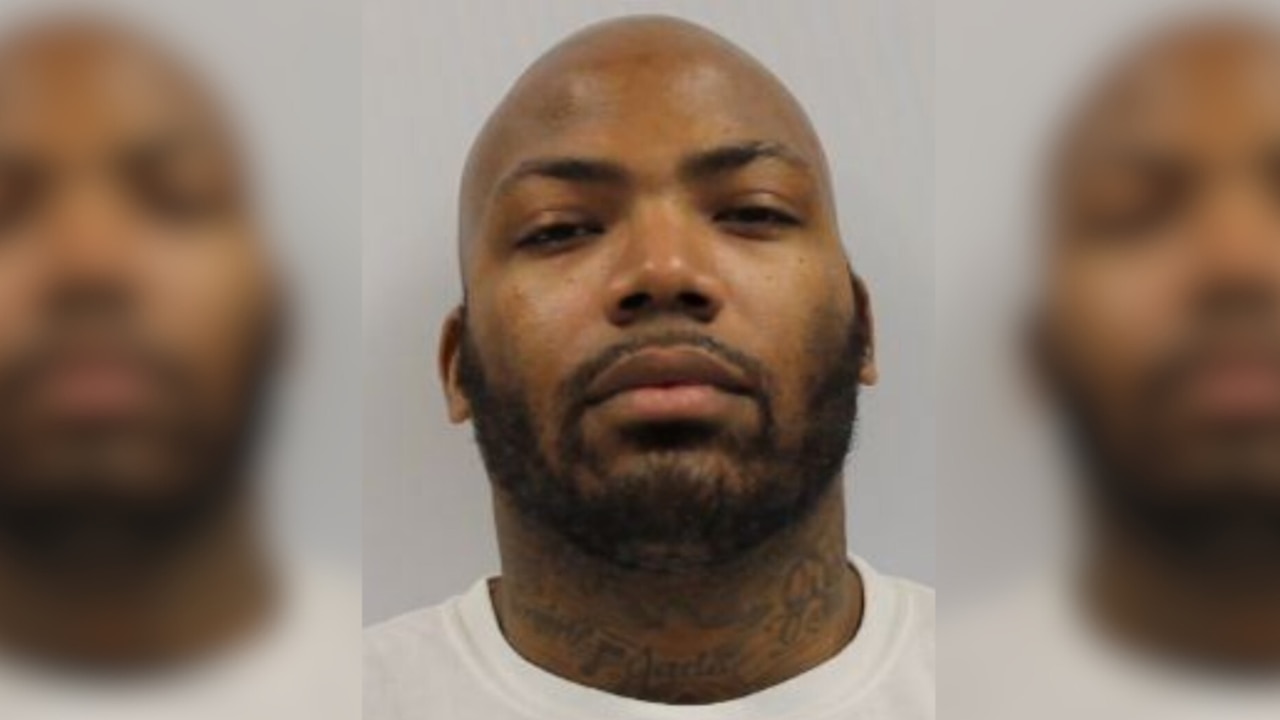 Jason Ridley Guilty Jason Billingsley pleads guilty to attack, with Pava LaPere guilty plea ...