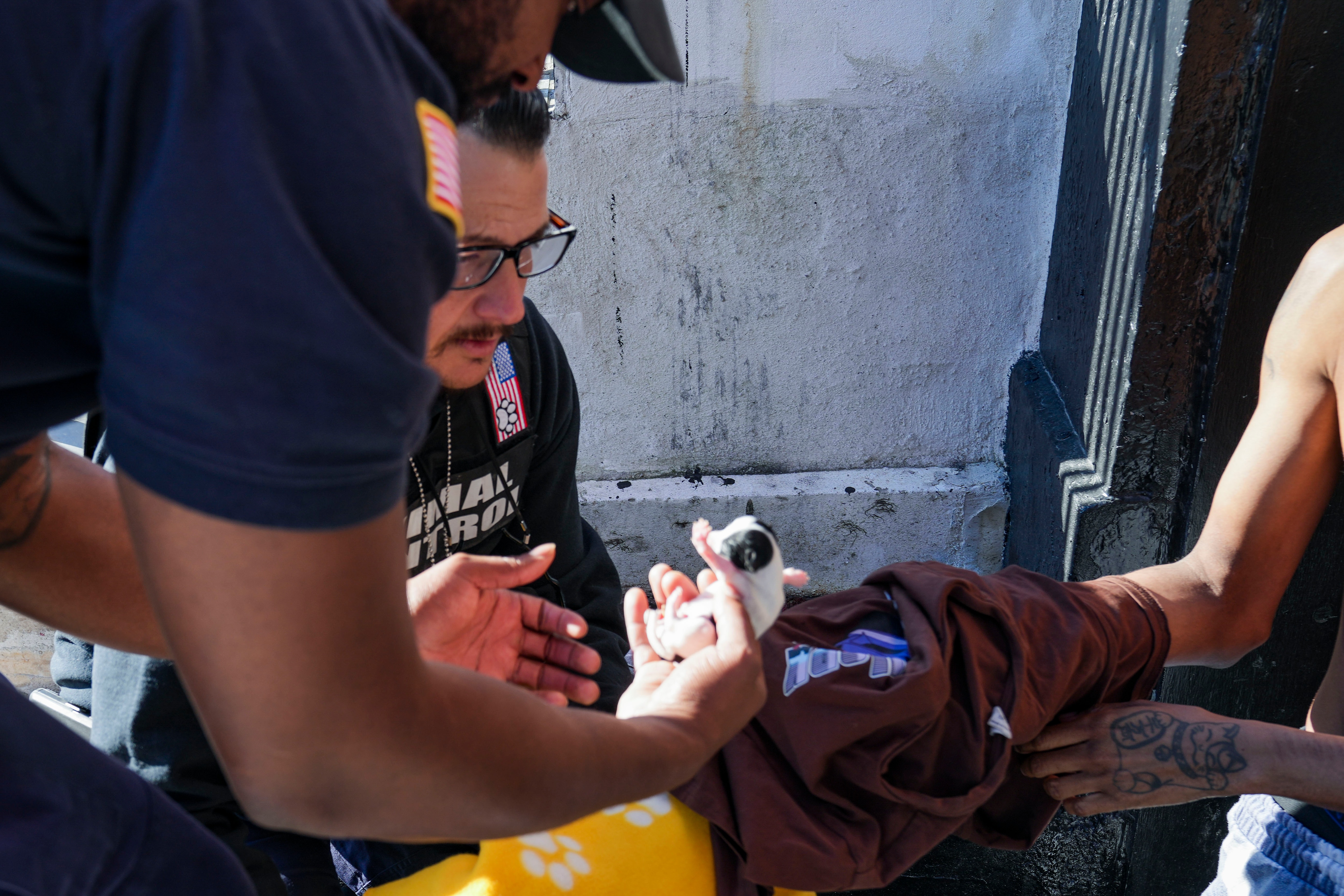 A tiny newborn puppy is handed off between two people.