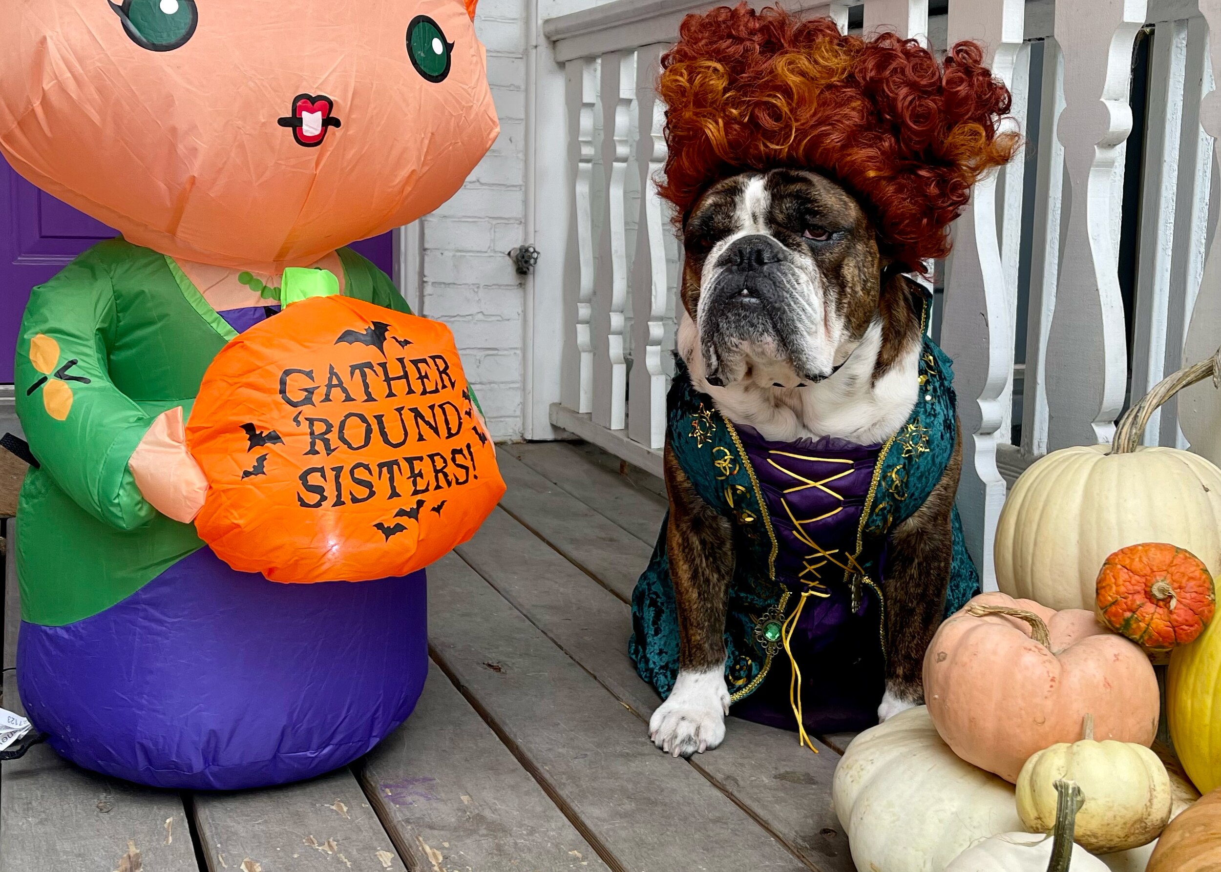 Winston as Winifred Sanderson