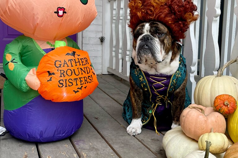 Winston as Winifred Sanderson