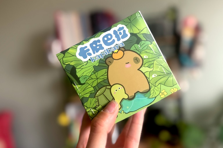 A Kapibara blind box from Matcha Time Gift Shop.