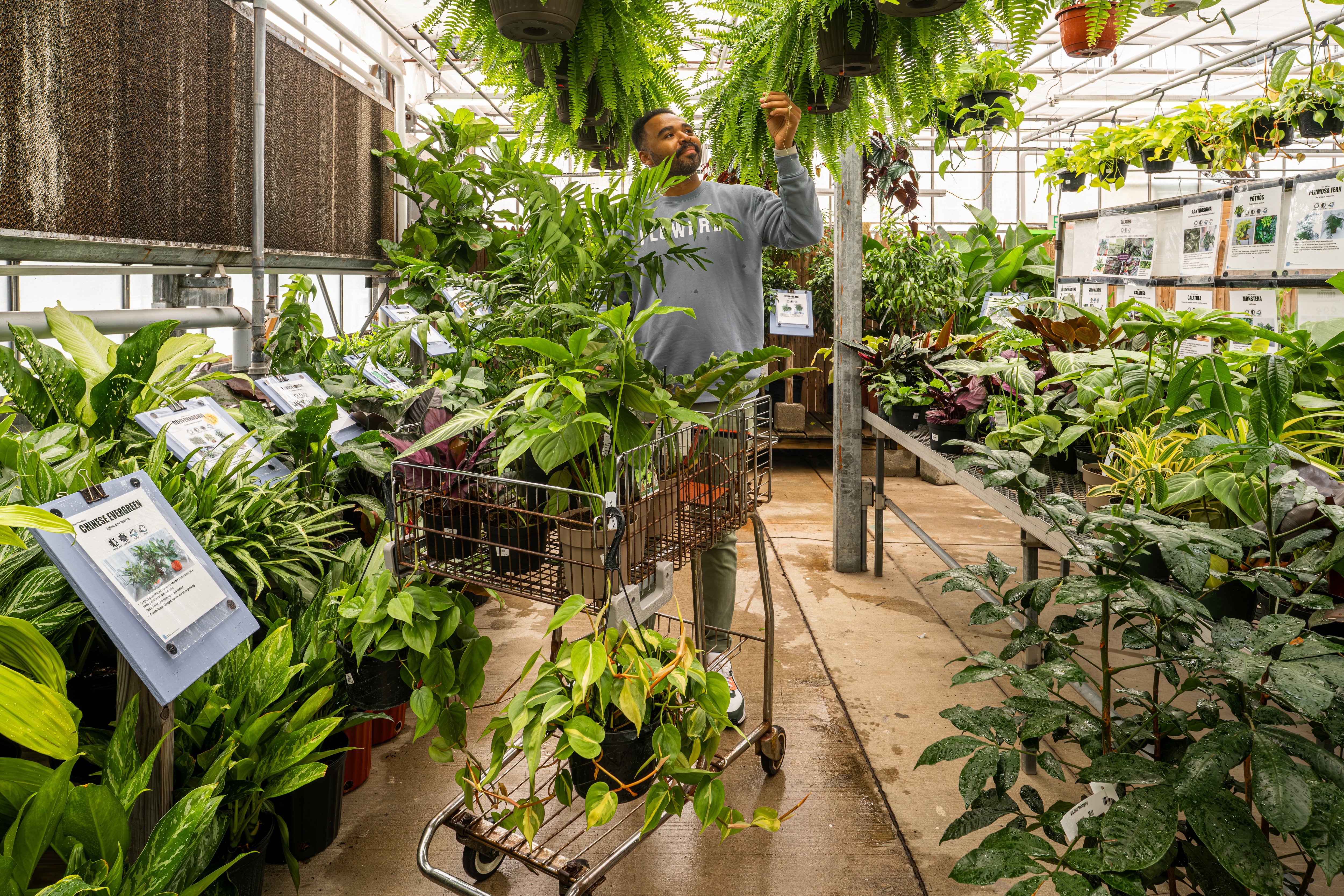 Hilton Carter at Valley View Farms.