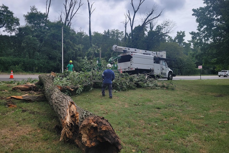 Crews clean up a fallen tree on Falls Road near Western High School on Sunday. Saturday night storms have left thousands without power.