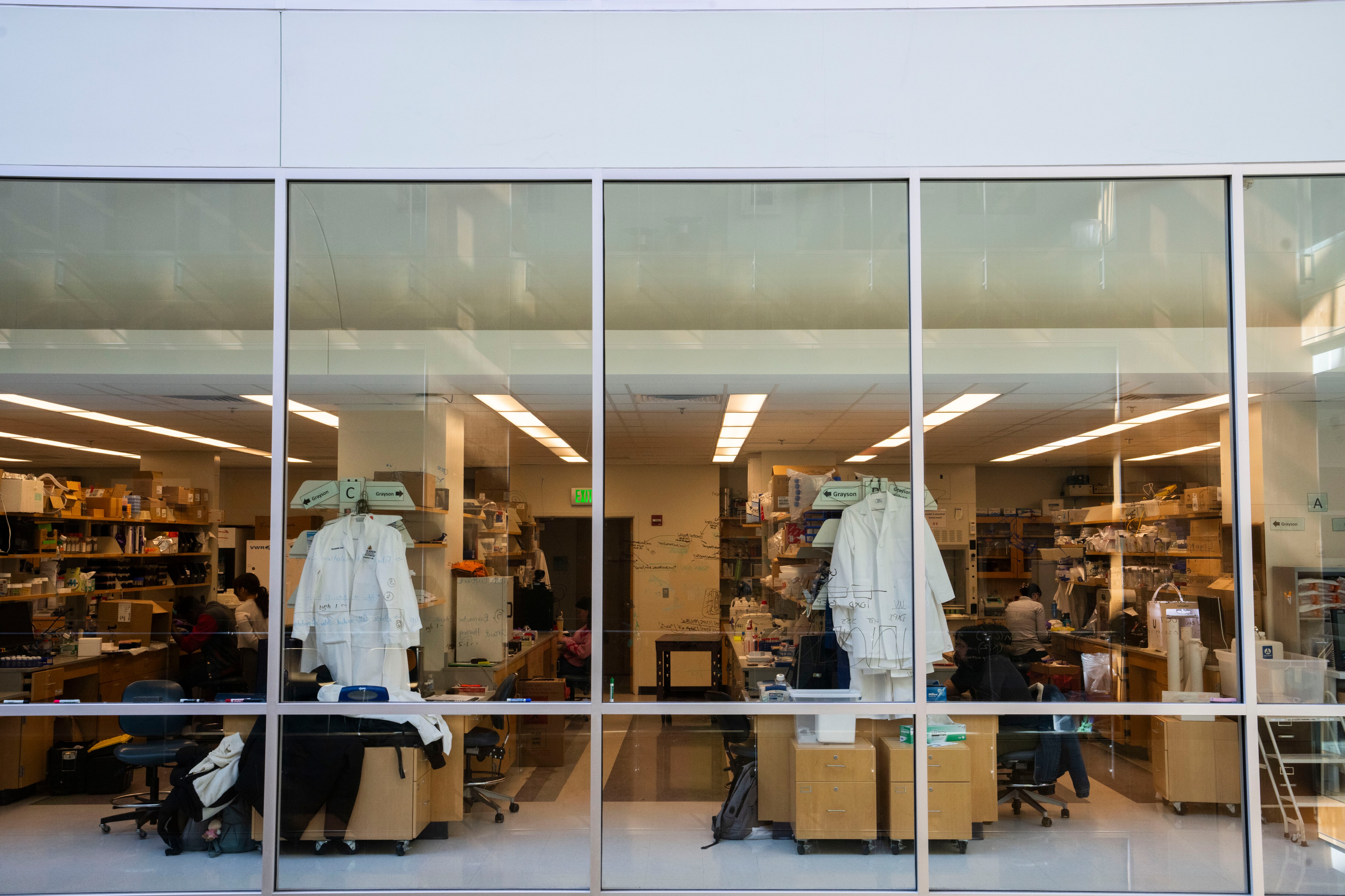 The Translational Tissue Engineering Center is located at 400 N Broadway Street, adjacent to Johns Hopkins Hospital.