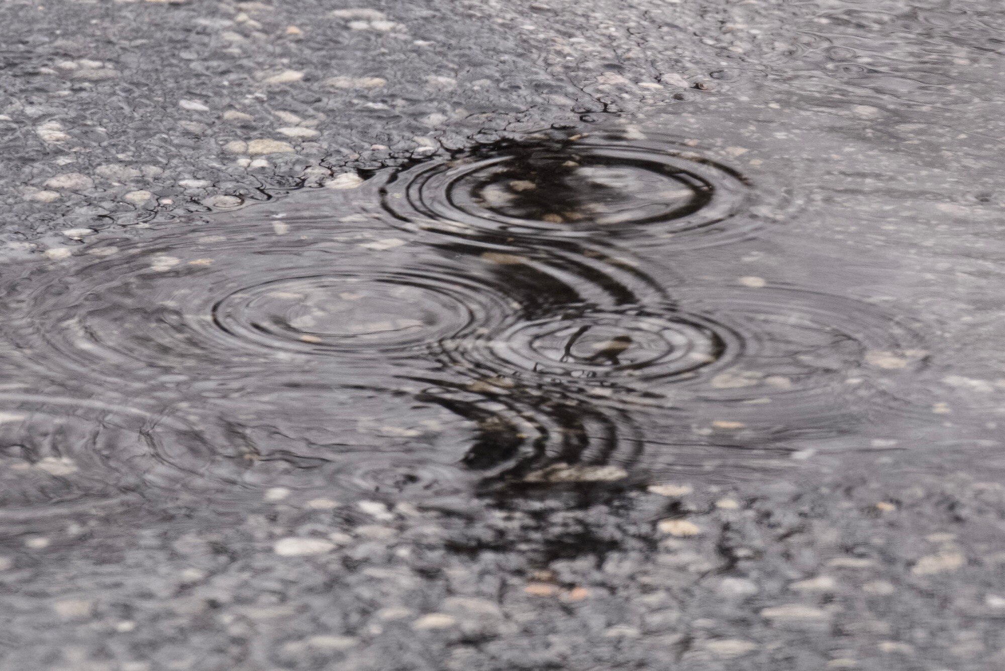 As much as an inch of rain is expected to fall in the region on Saturday. (Kaitlin Newman / The Baltimore Banner)