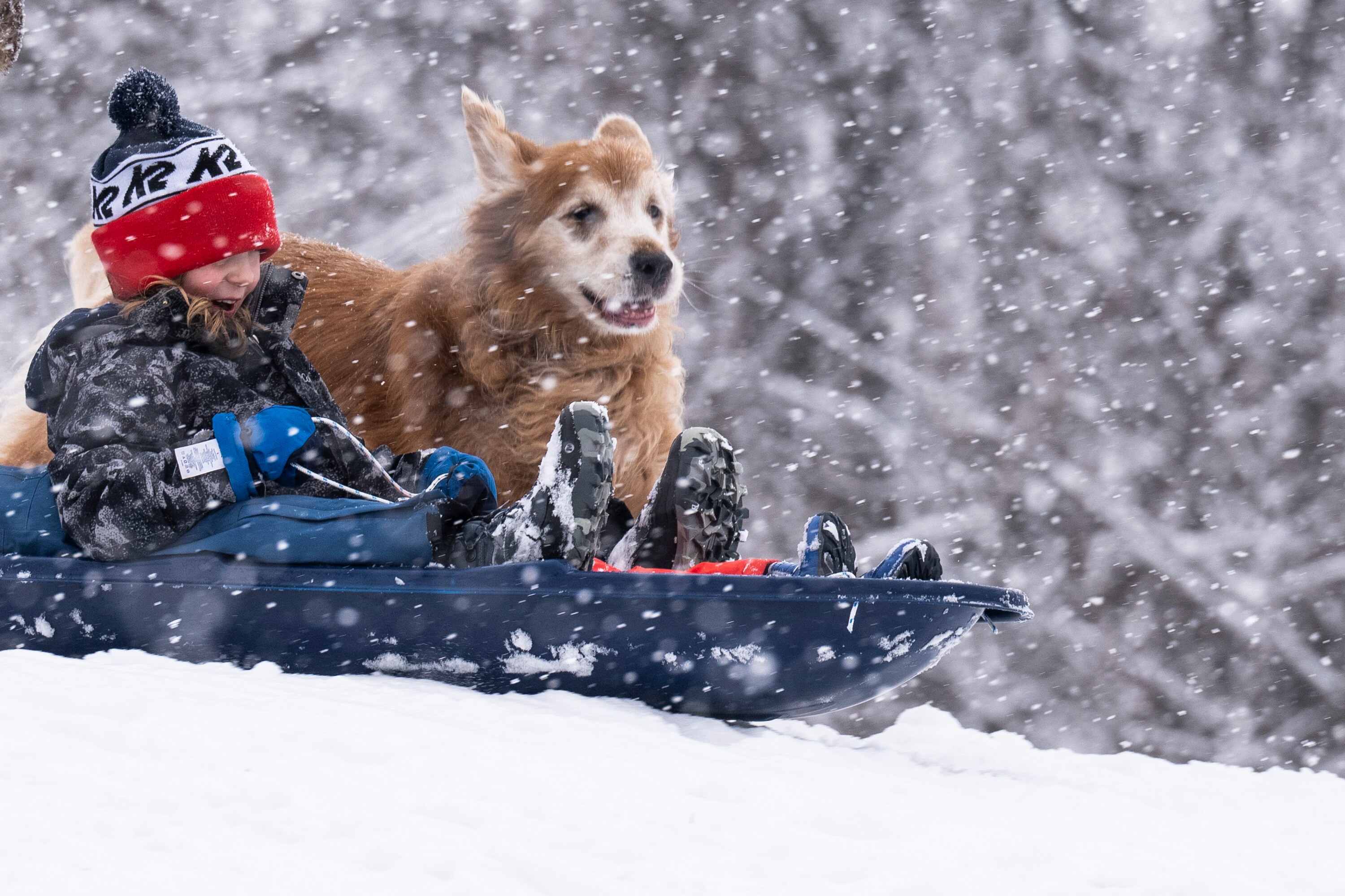 A little girl is chased by her dog while sledding in front of the Observatory at Patterson Park last January.