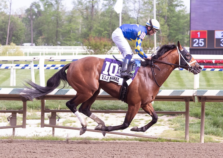 Taj Mahal wins the Federico Tesio Stakes with jockey Sheldon Russell aboard.
