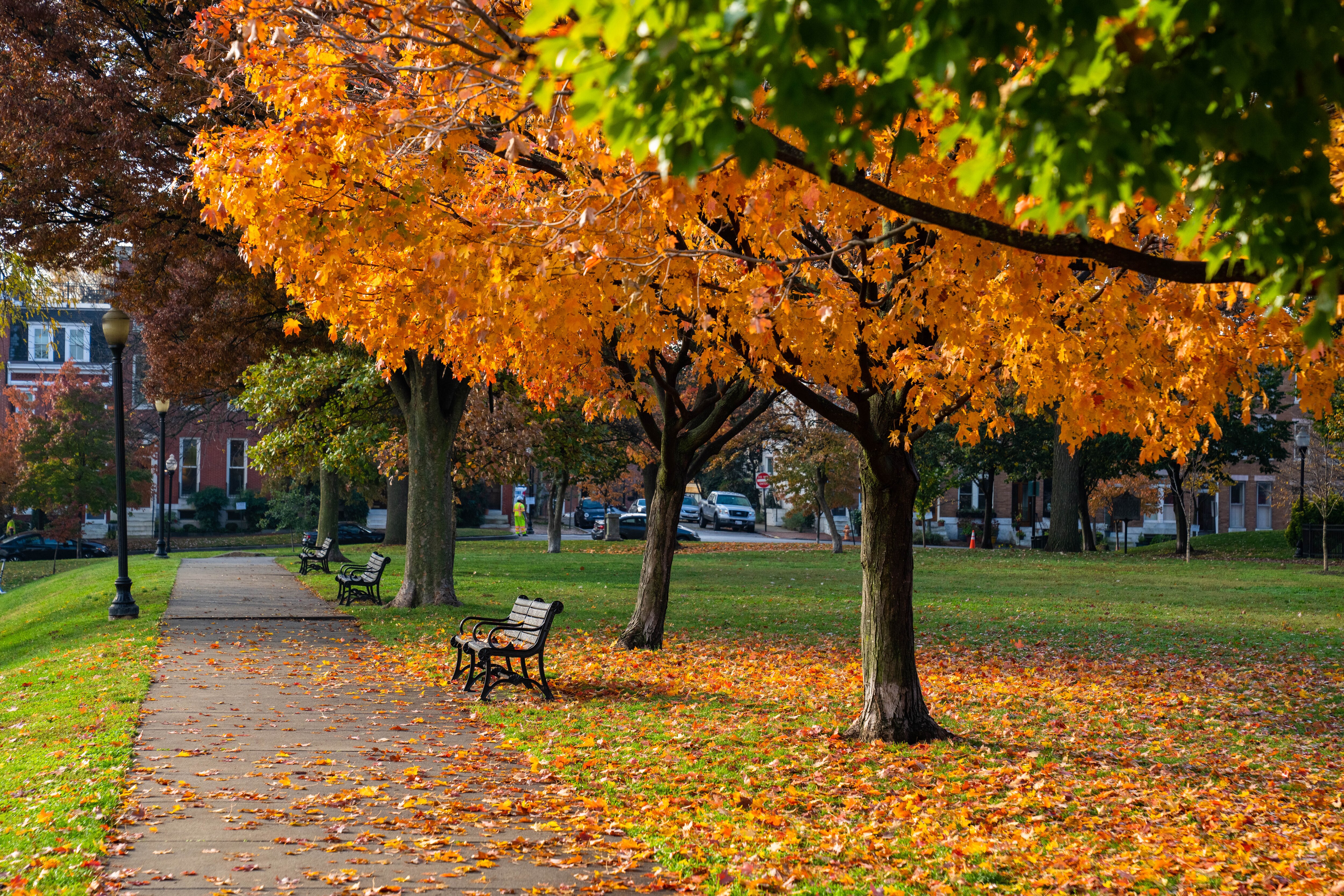 The National Weather Service says colder conditions are in store this week.