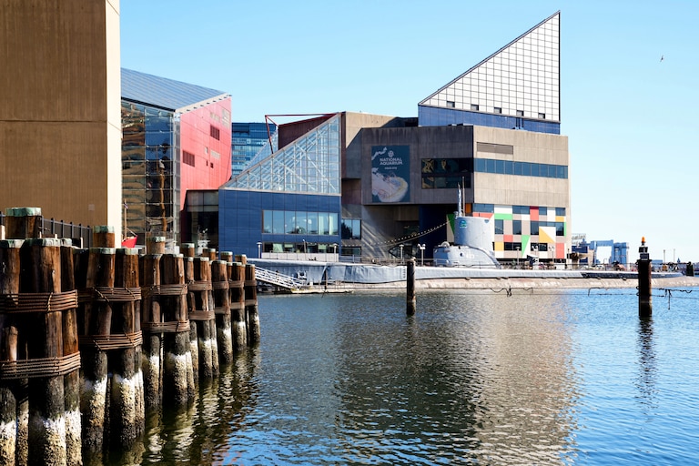 Water levels are low in Baltimore's Inner Harbor as the tide starts to come in on Thursday.