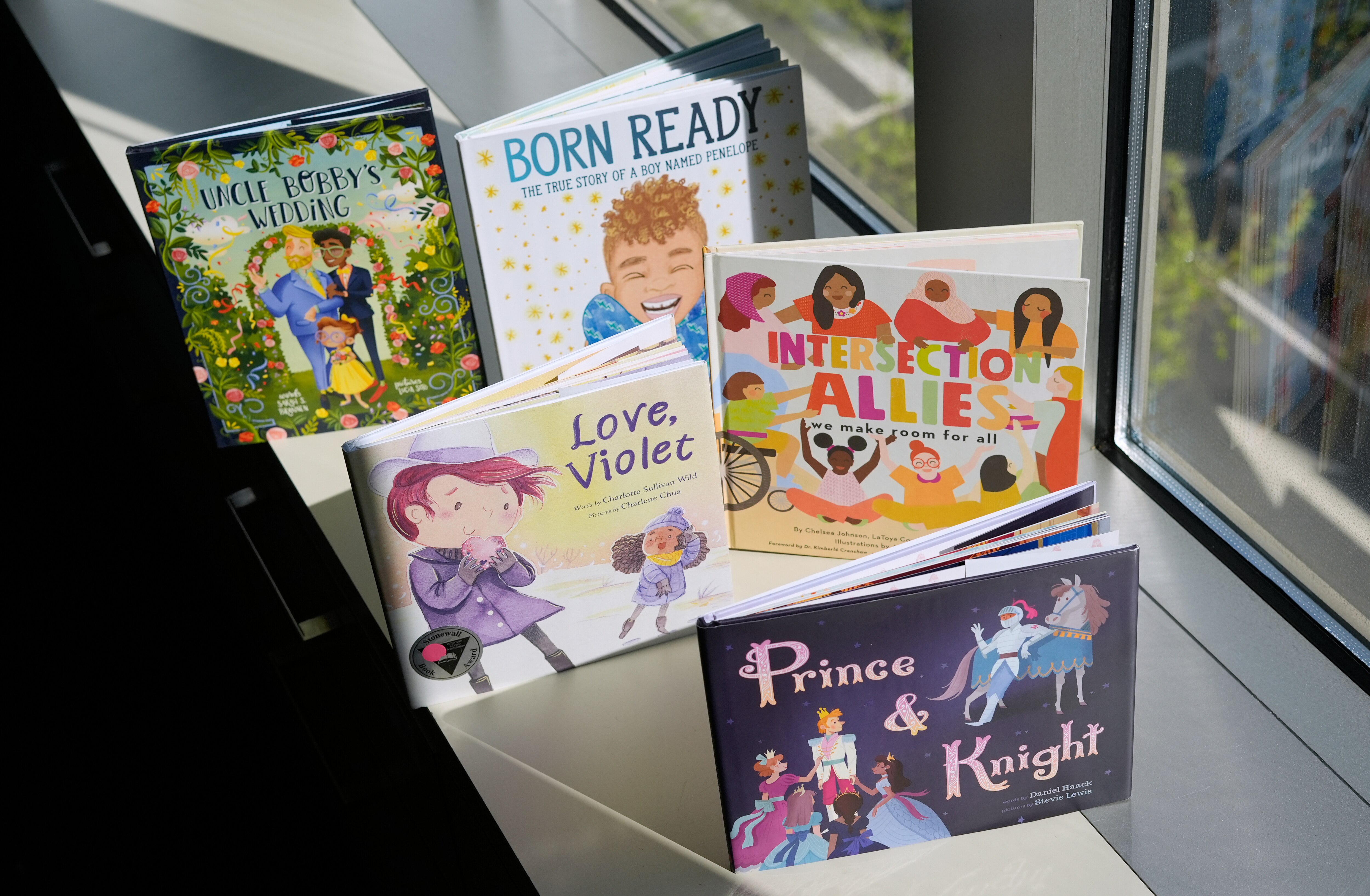 A selection of books featuring LGBTQ characters that are part of a Supreme Court case