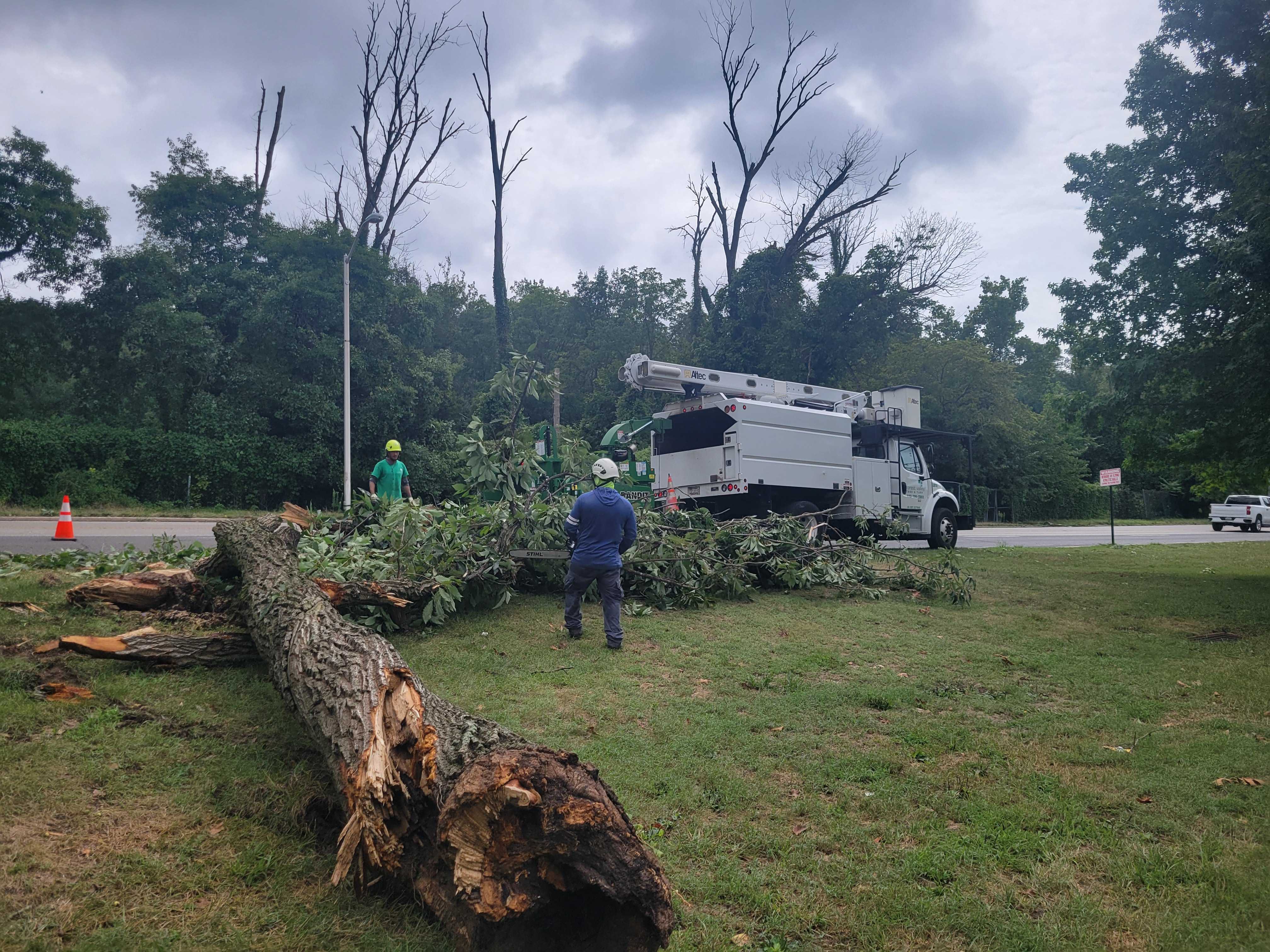 Crews clean up a fallen tree on Falls Road near Western High School on Sunday. Saturday night storms have left thousands without power.