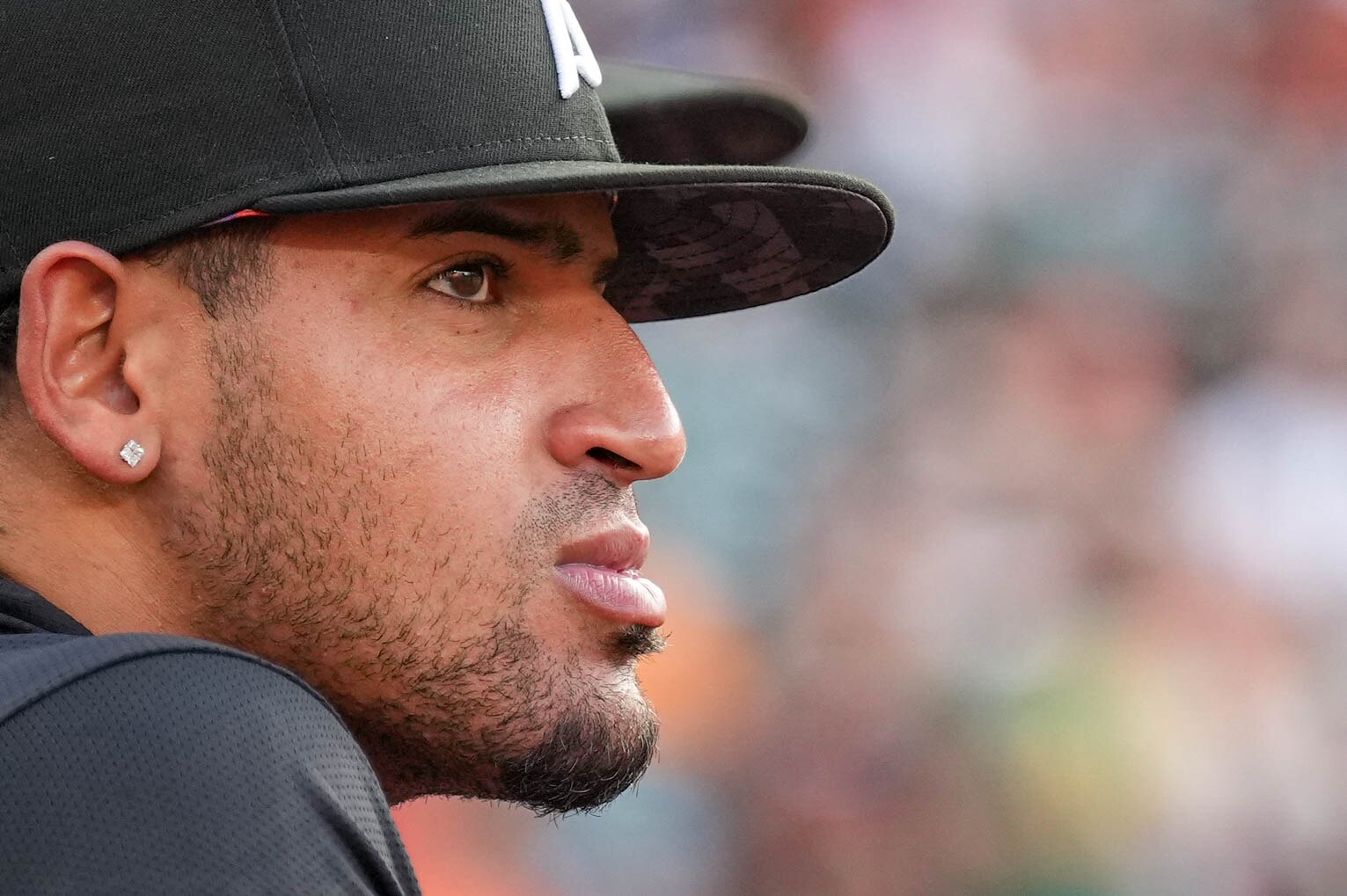 Orioles infielder Luis Vázquez made his major league debut with the Cubs last season.