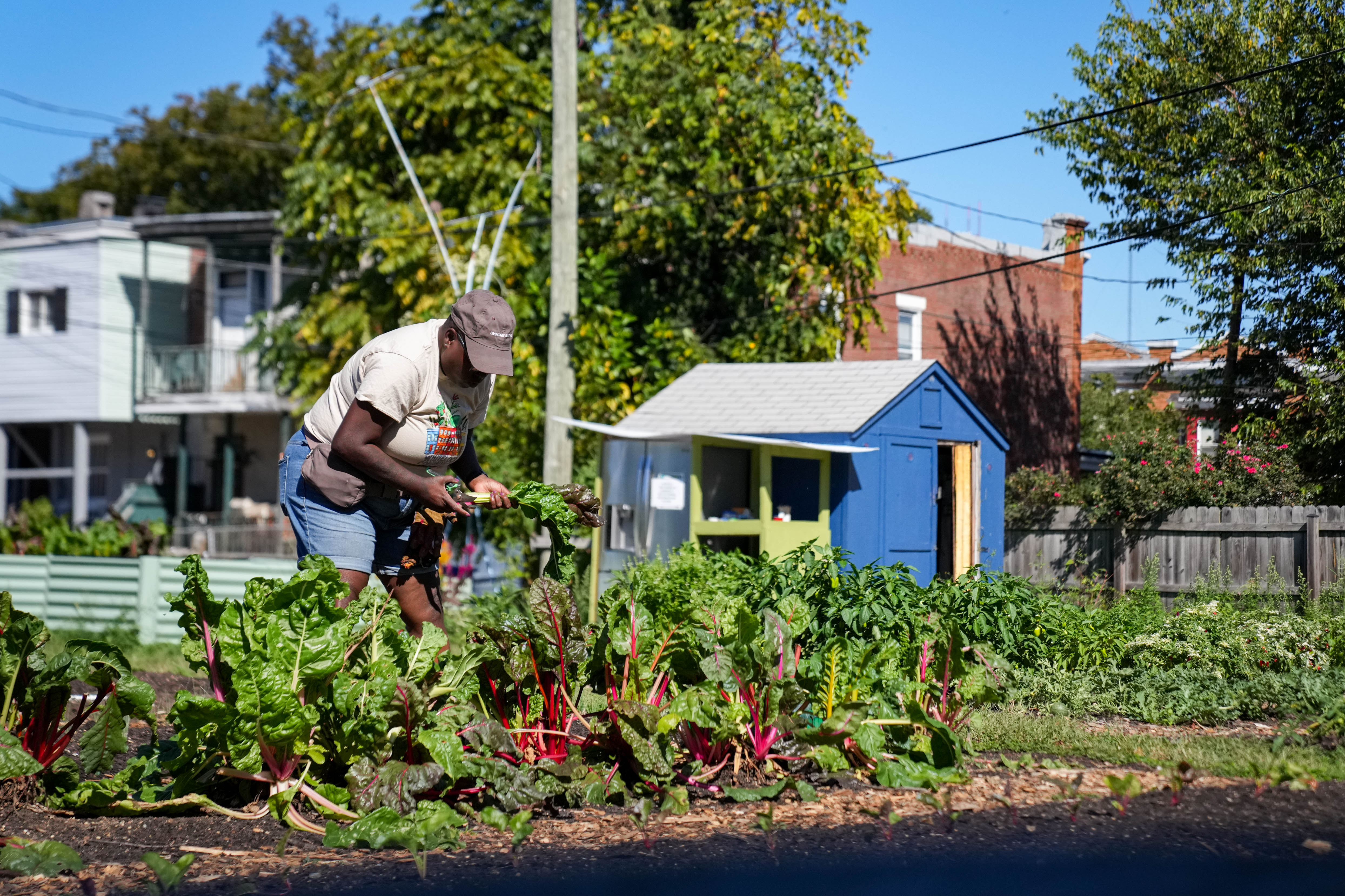 Jennifer West works on the Whitelock Community Farm in Baltimore.