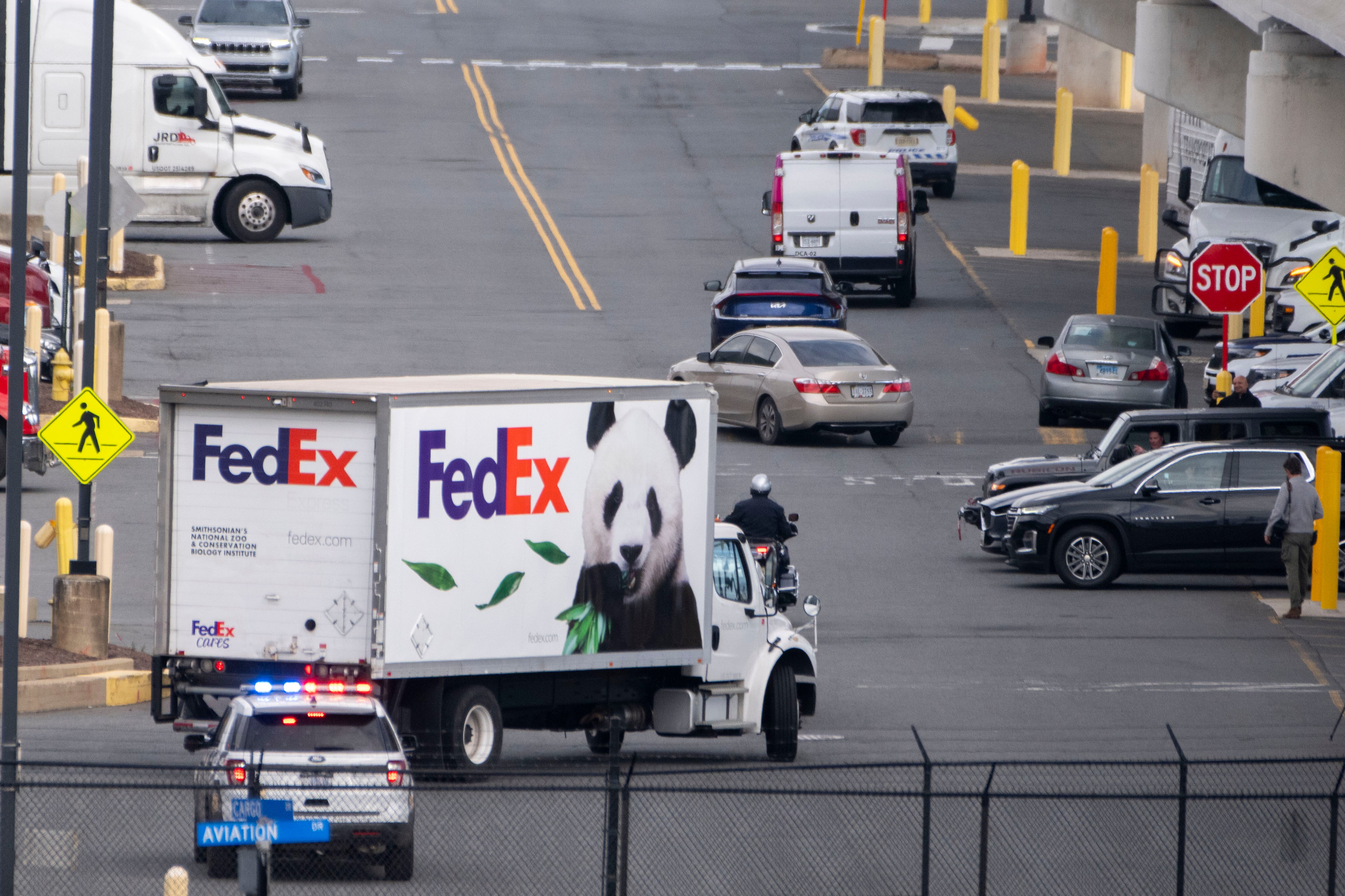 Police vehicles escort a FedEx truck carrying giant pandas to the National Zoo after they arrived at Dulles International Airport from China on Tuesday, Oct. 15, 2024 in Sterling, Virginia.