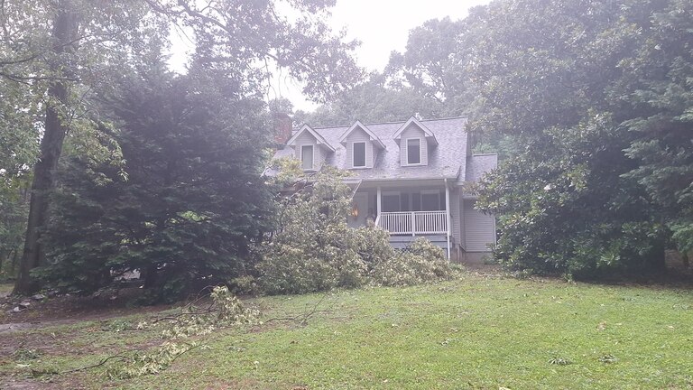 A large tree crashed onto the front of a home in Pasadena during severe thunderstorms Saturday, July 18, 2026, damaging the roof and blocking the front entrance.