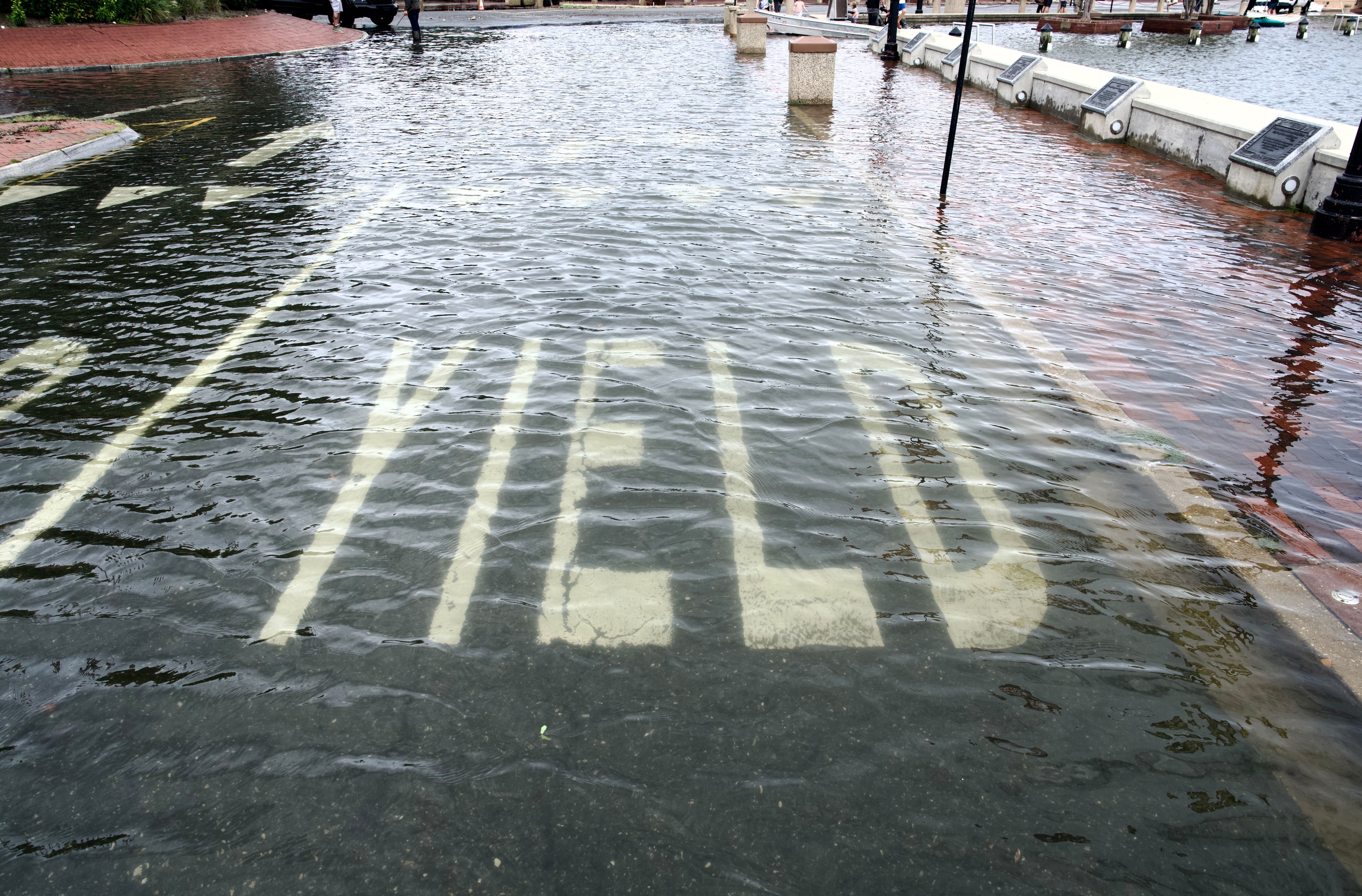 Flooding near the City Dock in Annapolis on Aug. 9, 2024