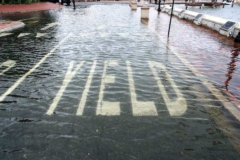 Flooding near the City Dock in Annapolis on Aug. 9, 2024
