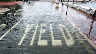 Flooding near the City Dock in Annapolis on Aug. 9, 2024