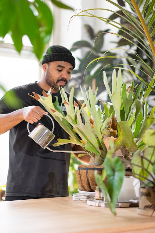 Hilton Carter waters and fertilizes a plant.