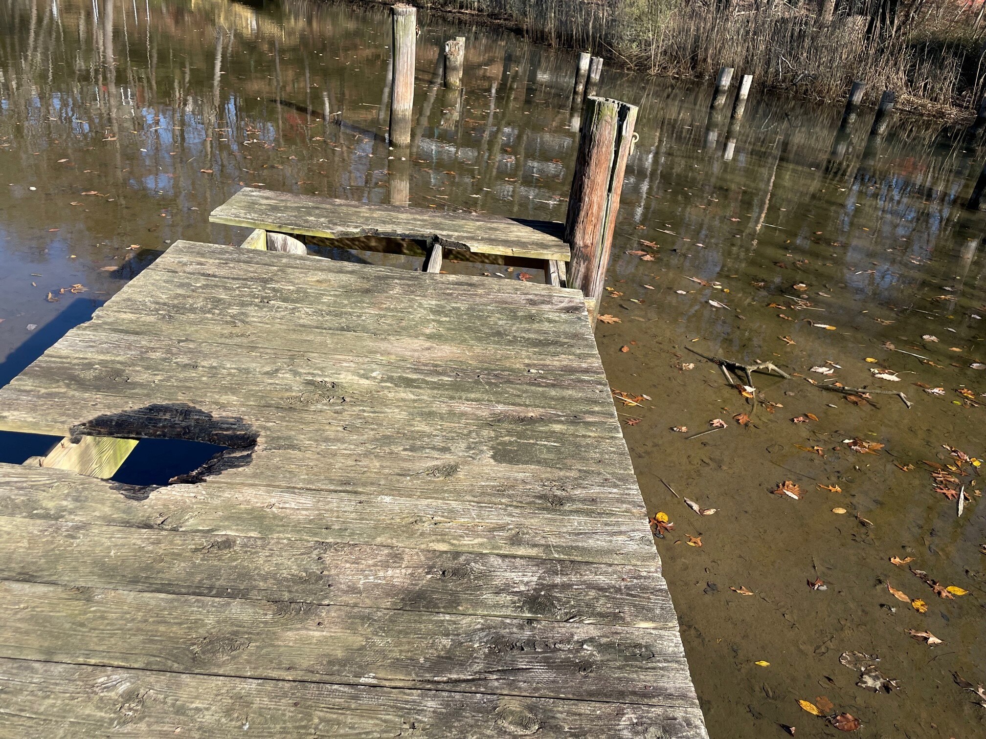 Hawkins Cove off Spa Creek is much muddier than in prior years when it was a popular recreational water locale.