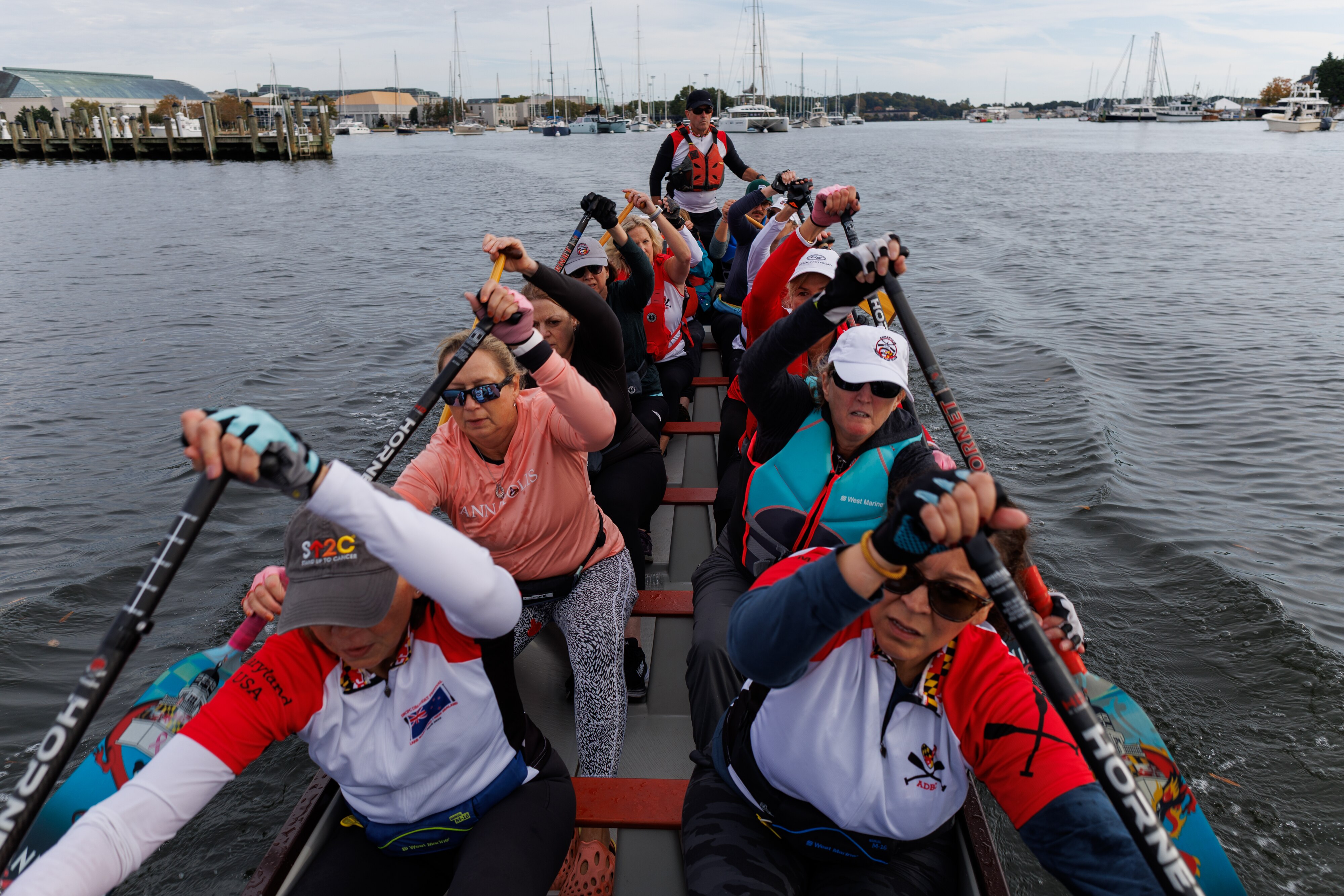 The Annapolis Dragon Boat Club practices in the Annapolis Harbor.