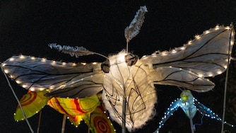 A moth lantern flies by during The Great Halloween Lantern Parade at Patterson Park on Saturday, Oct. 21, 2023.