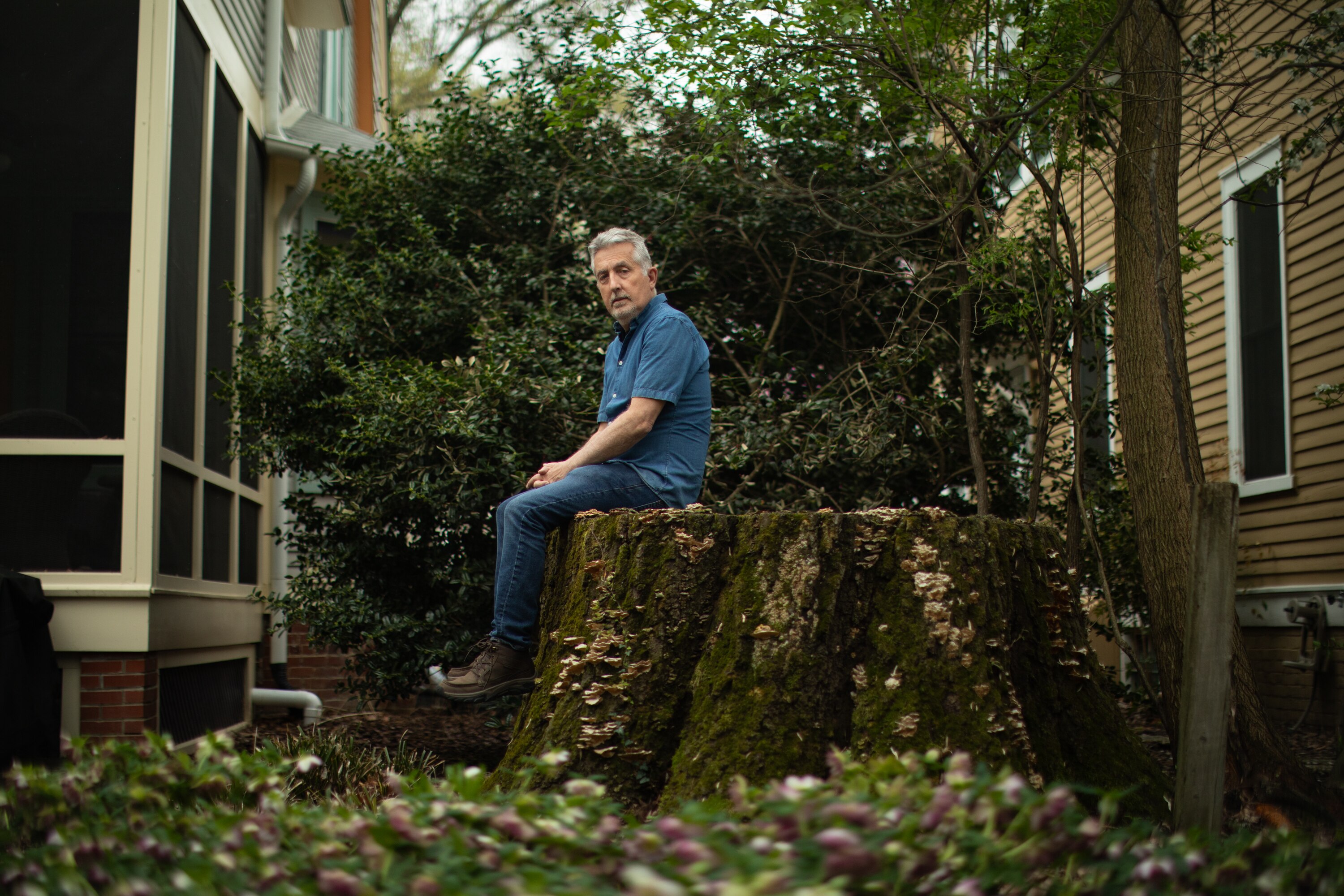 TAKOMA PARK, MD - APRIL 4:
Mike Tidwell sits on the stump of an oak tree, in a neighbor’s backyard on Willow Avenue in Takoma Park MD on April 4, 2025. Tidwell’s new book, The Lost Trees of Willow Avenue, talks about the diminishing oak trees and impacts of climate change on his neighborhood.