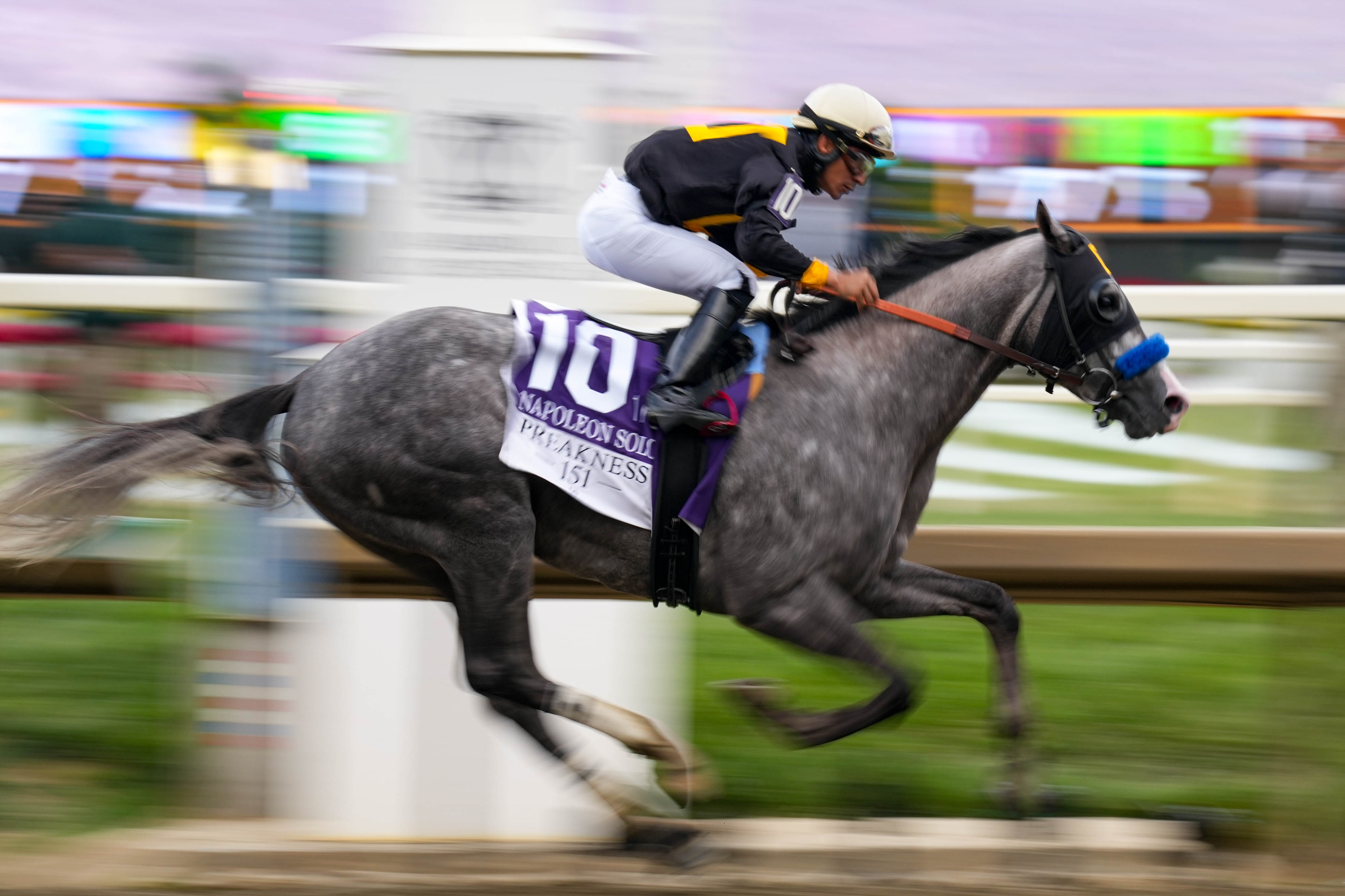 Jockey Paco Lopez rides Napoleon Solo (10) to victory in the 151st Preakness Stakes at Laurel Park racetrack on Saturday.