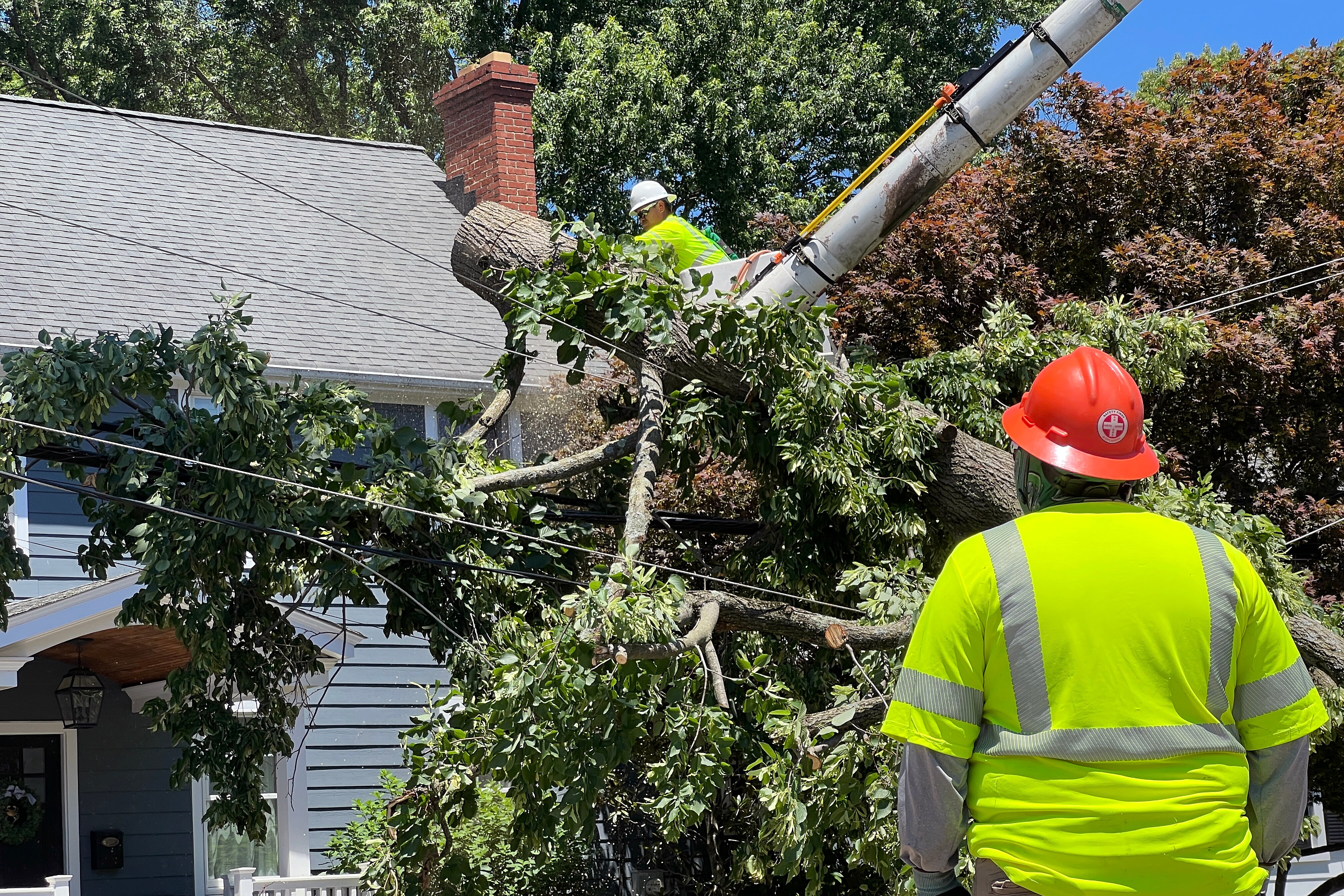 SATURDAY, JUNE 13, 2026 - Trees toppled in Annapolis after storms caused damage in the city on Friday evening.