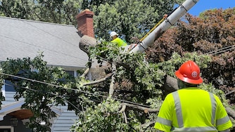 SATURDAY, JUNE 13, 2026 - Trees toppled in Annapolis after storms caused damage in the city on Friday evening.