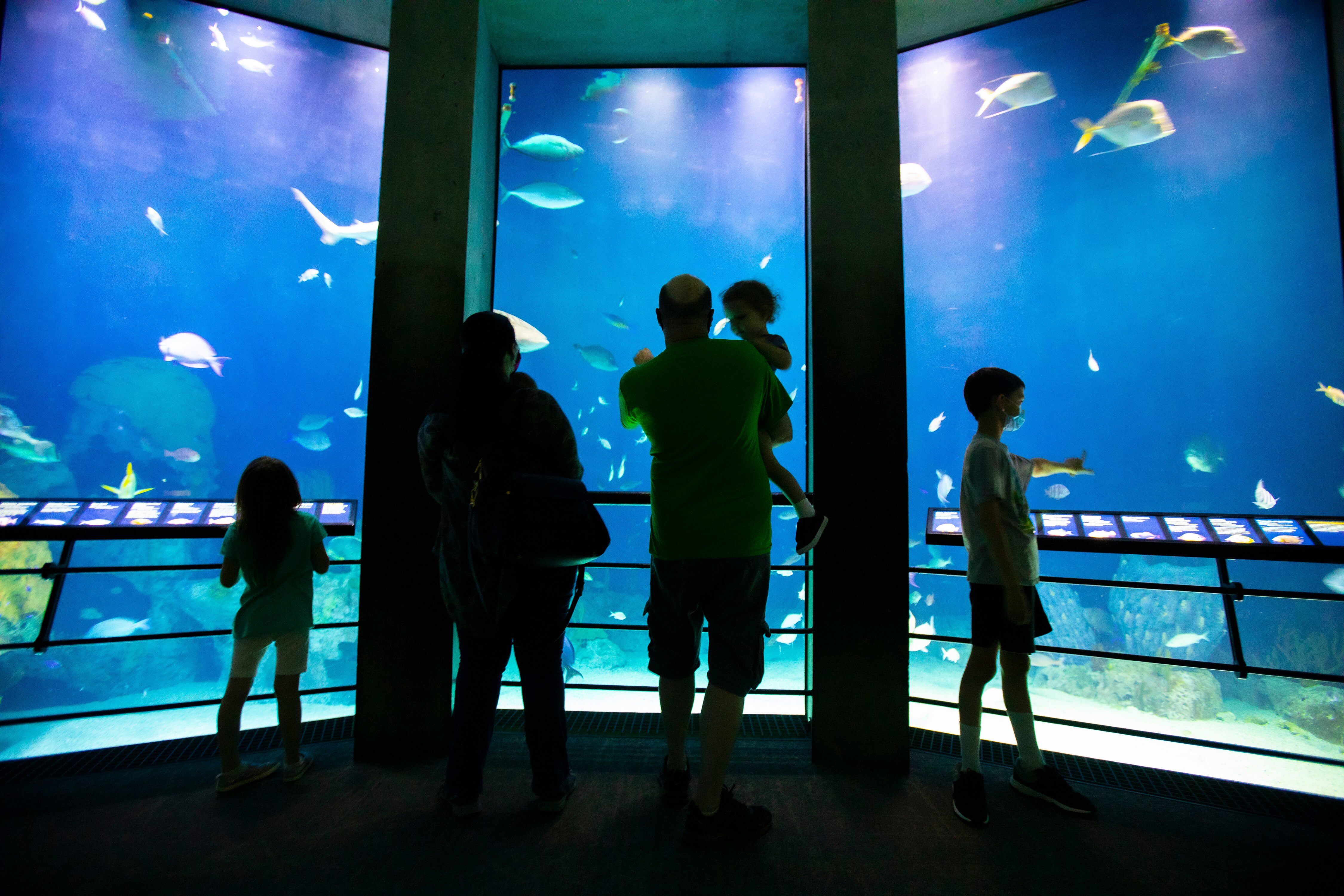 A family visits the National Aquarium in Baltimore.