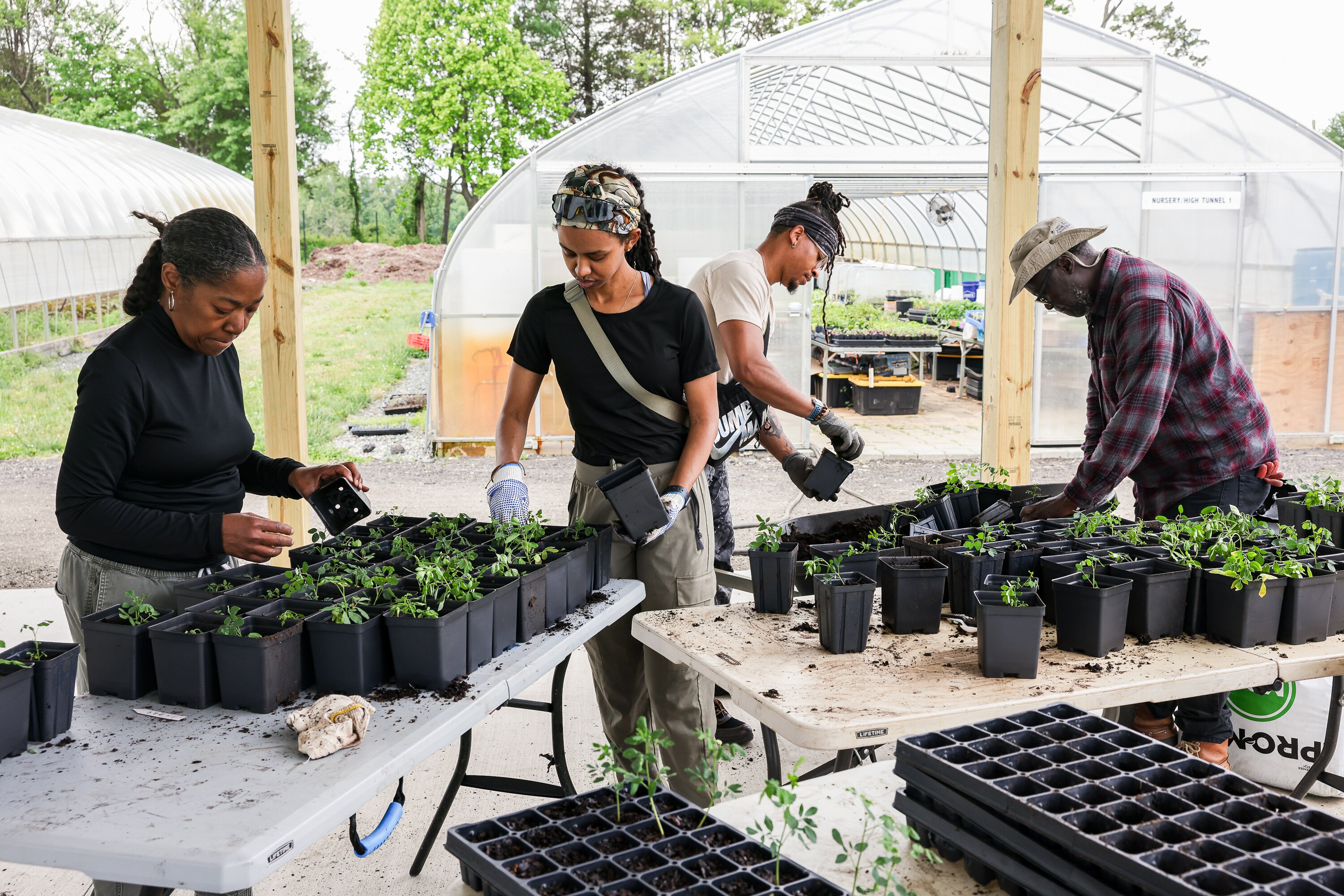 From left, volunteers Gigi Parker, Ruth Getachew and Malik Carter work with farmer Isaac Zama to plant moringa seedlings at the Urban Farm Incubator at Watkins Regional Park in Upper Marlboro.