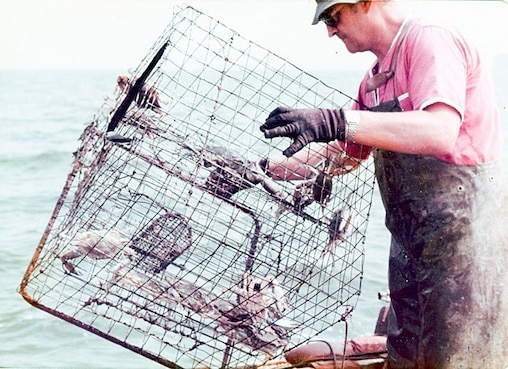Ray Reiner crabbing in 1974.