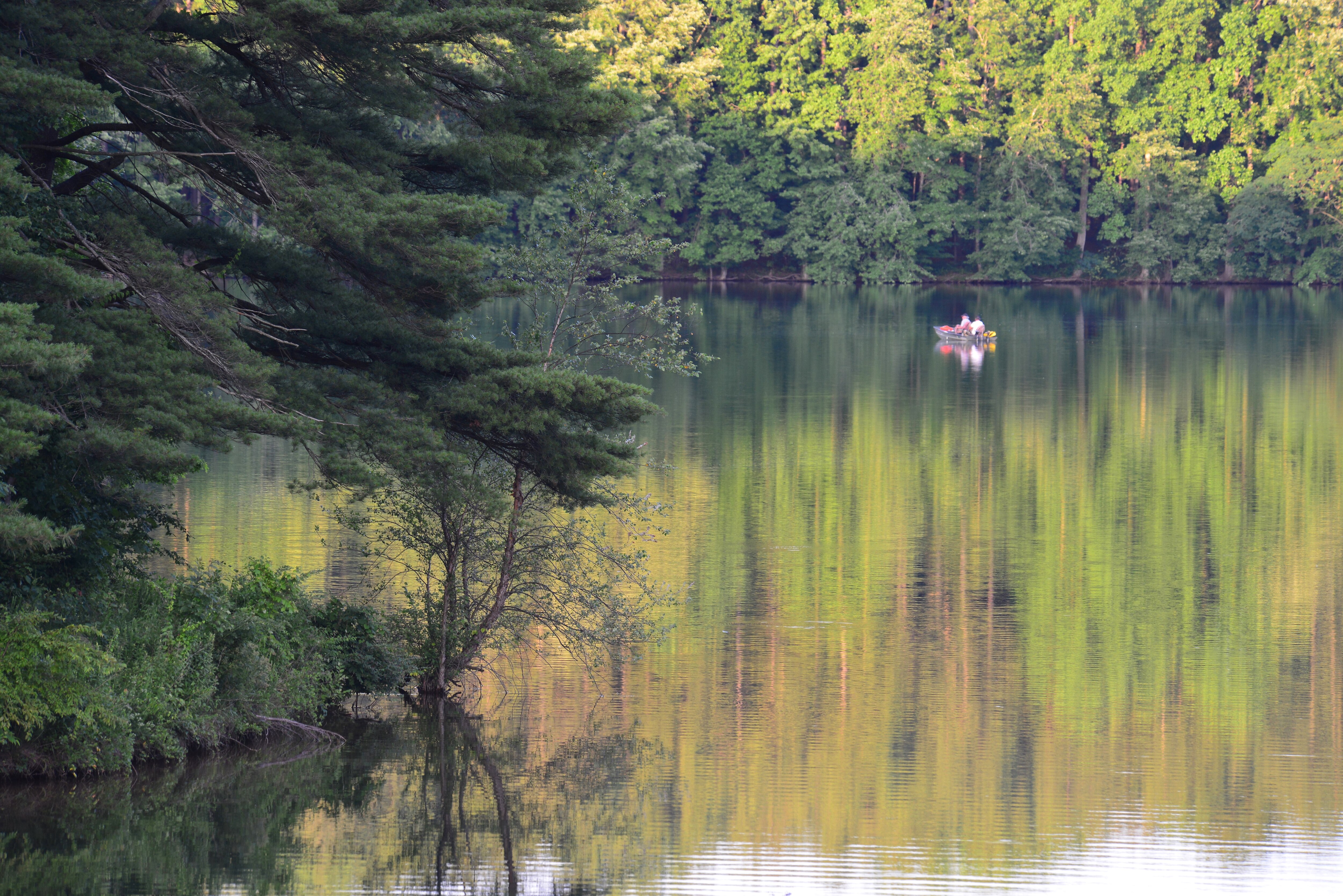 A volunteer firefighter allegedly set a series of small fires last year in the area around Liberty Reservoir near Eldersburg.
